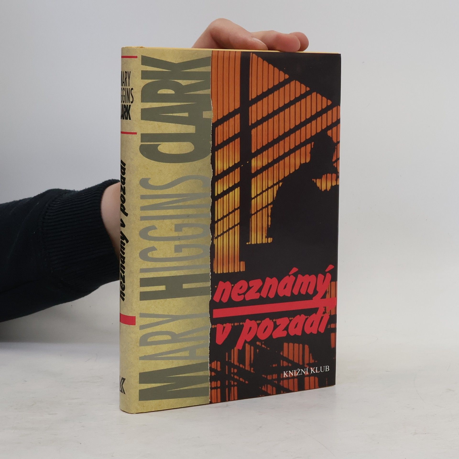 Mary Higgins Clark Neznámý v pozadí