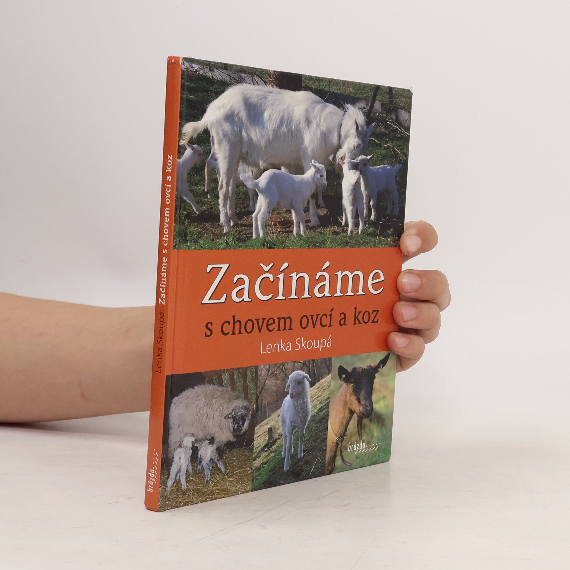 Lenka Skoupá Začínáme s chovem ovcí a koz
