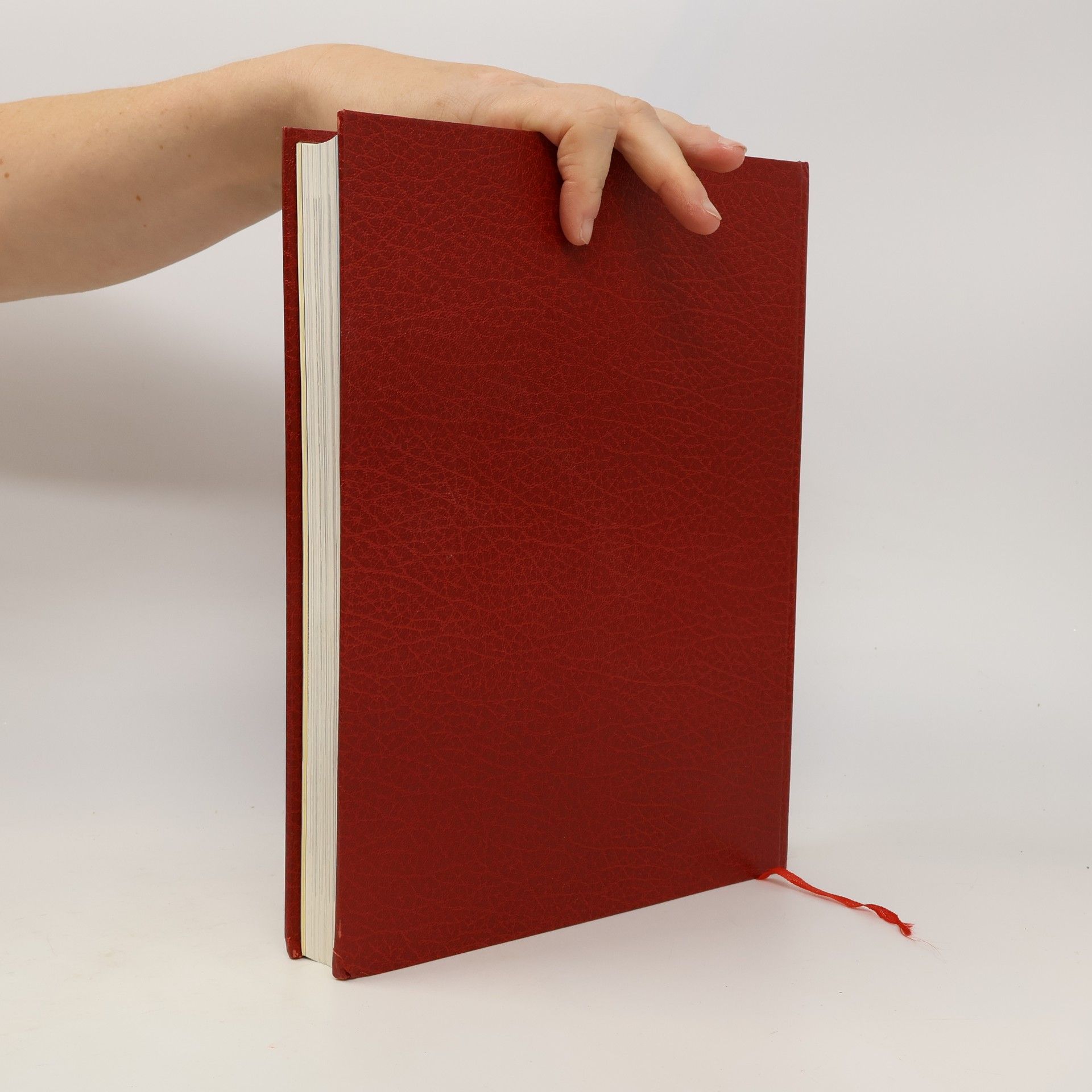 Bernhard Uhde Die Bibel und das Christentum 8