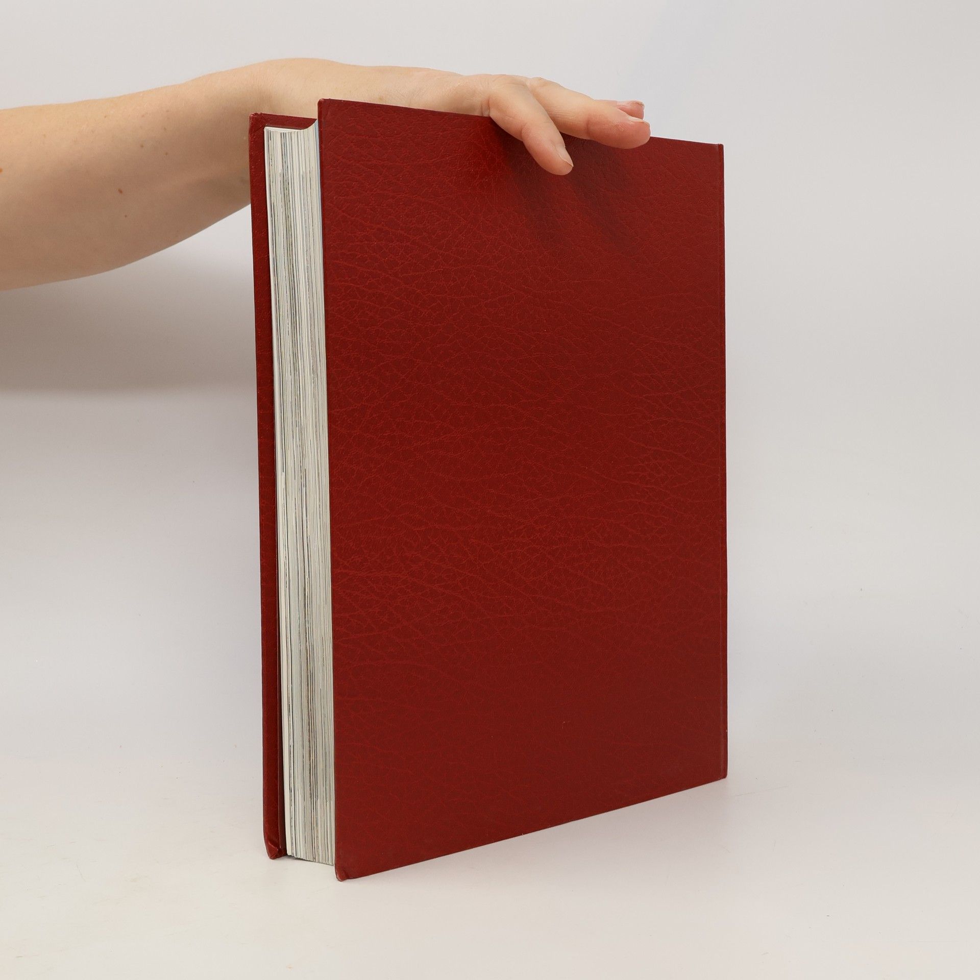Autorenkollektiv Die Bibel 5