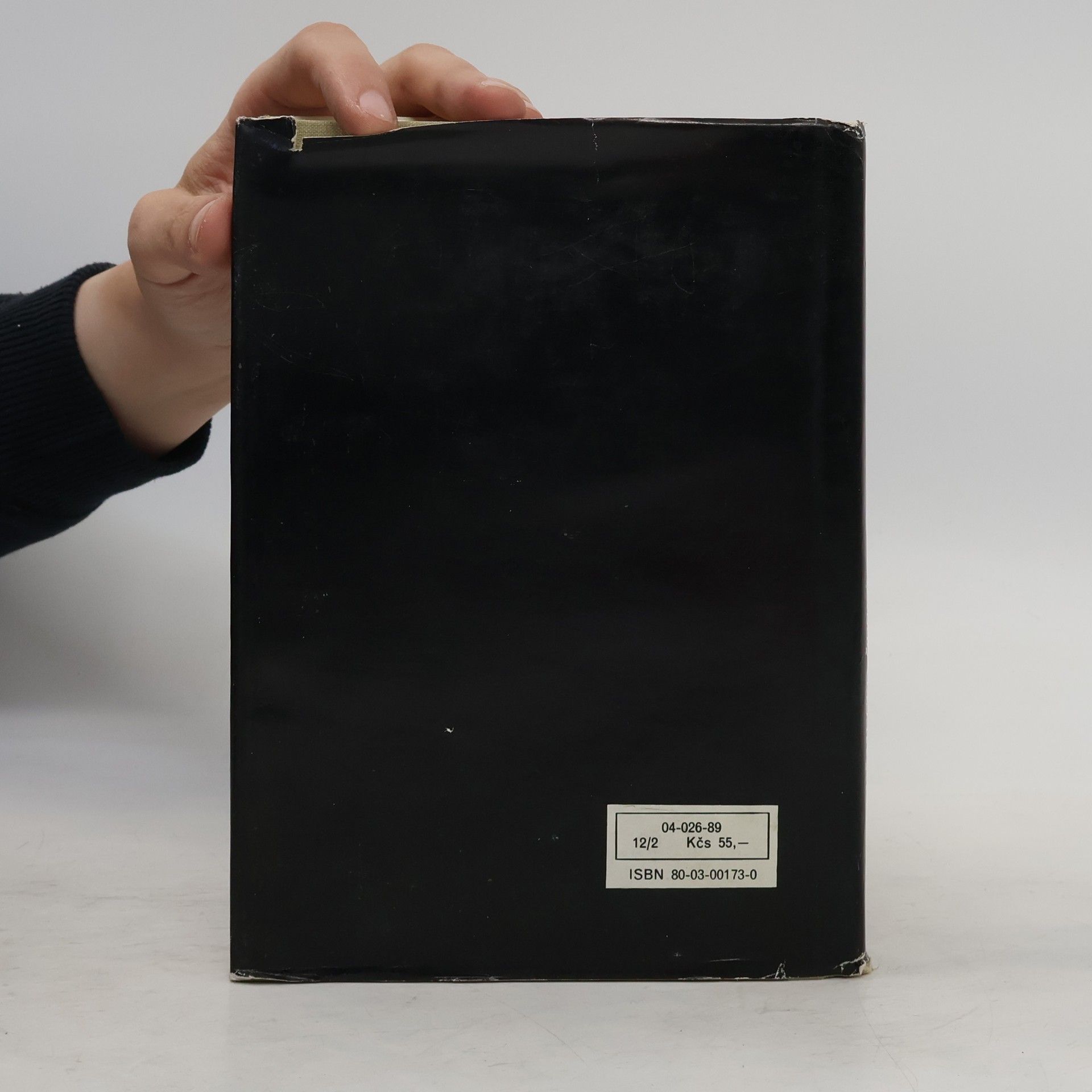 Oldřich Minihofer Německo-český slovník výpočetní techniky. Deutsch-tschechisches Wörterbuch der Datentechnik