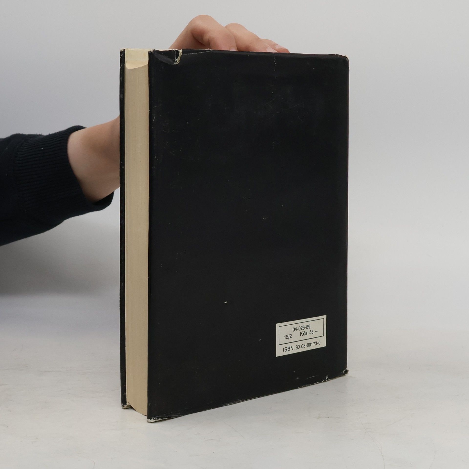 Oldřich Minihofer Německo-český slovník výpočetní techniky. Deutsch-tschechisches Wörterbuch der Datentechnik