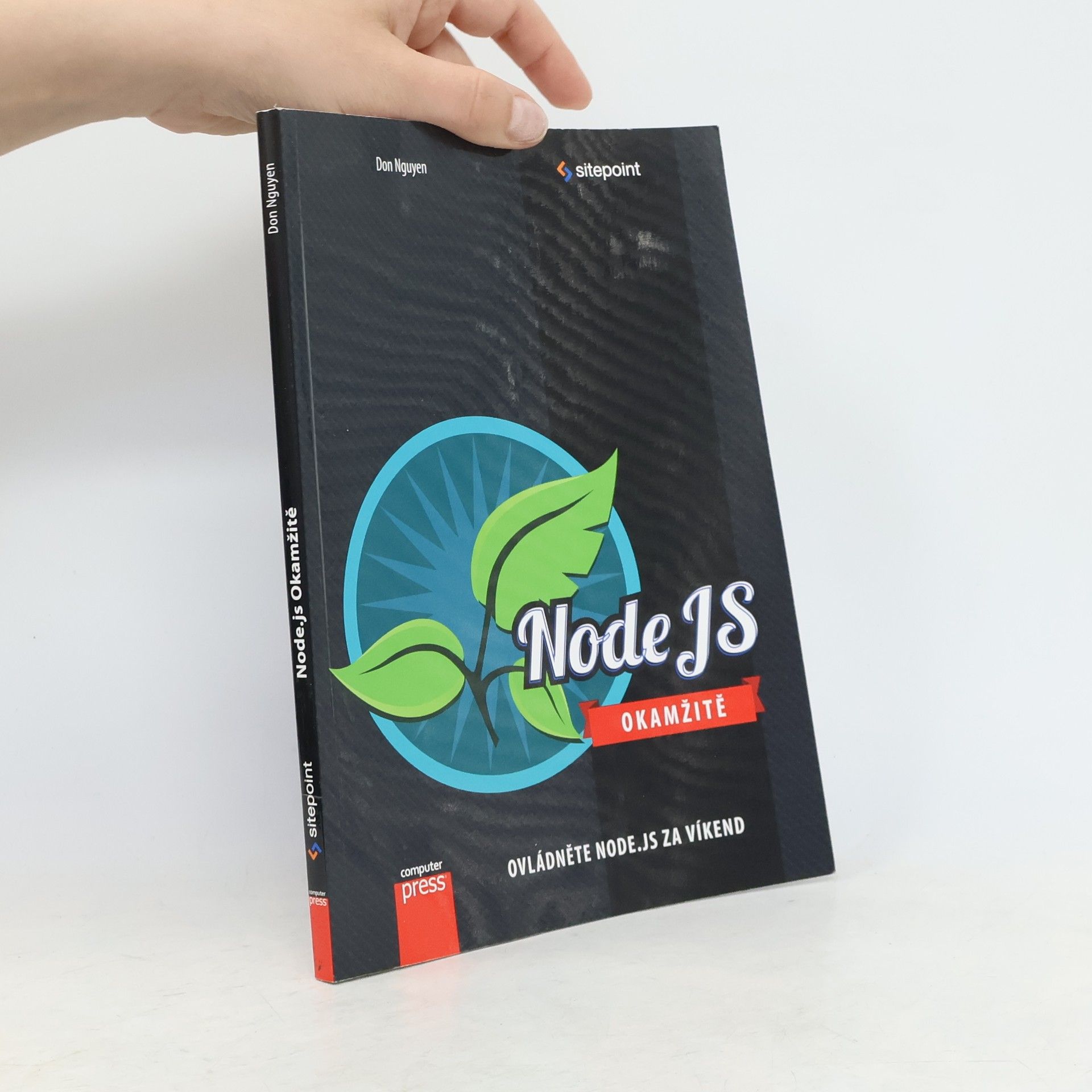 Don Nguyen Node.js Okamžitě