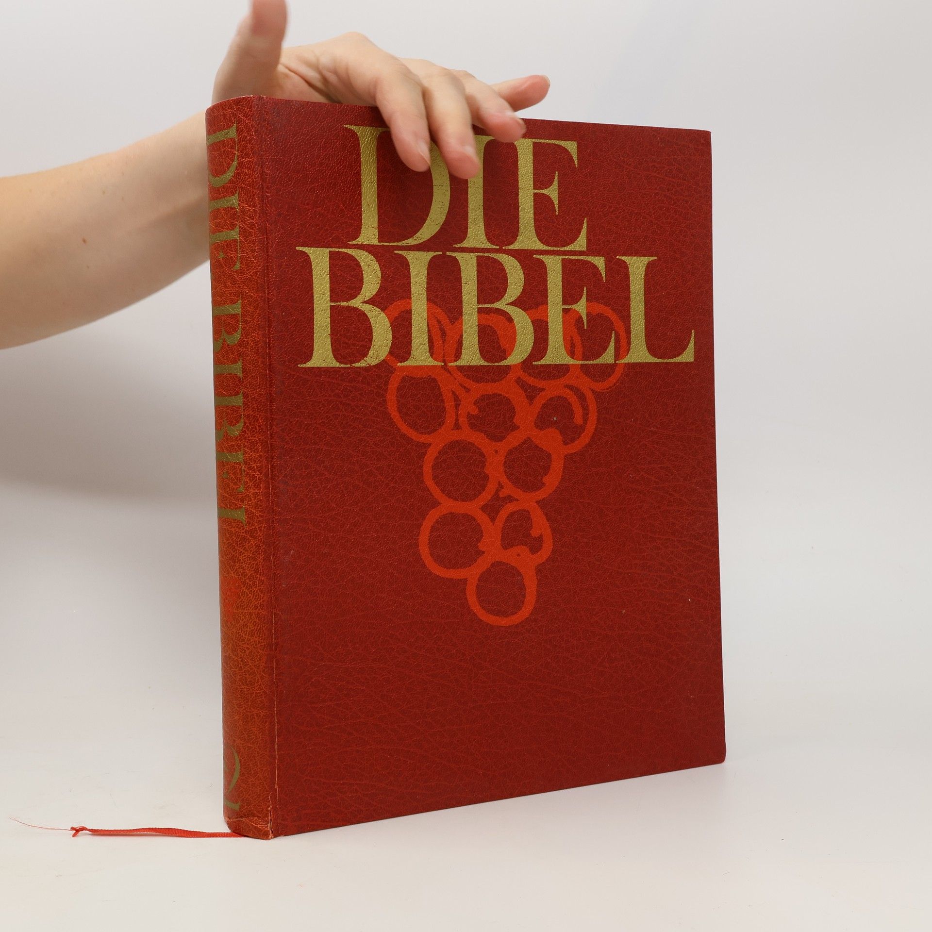 Auteurscollectief Die Bibel 2