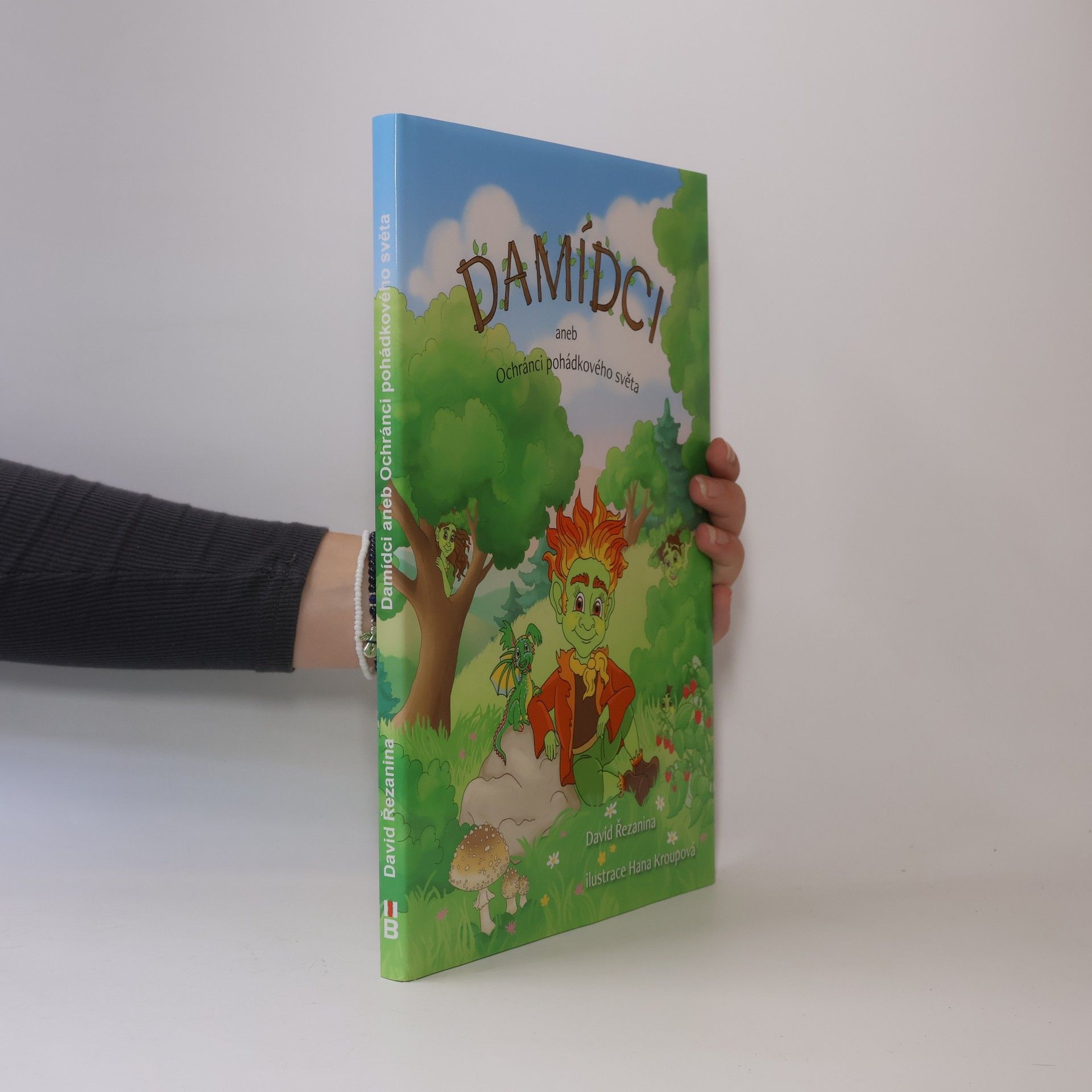 David Řezanina Damídci aneb Ochránci pohádkového světa