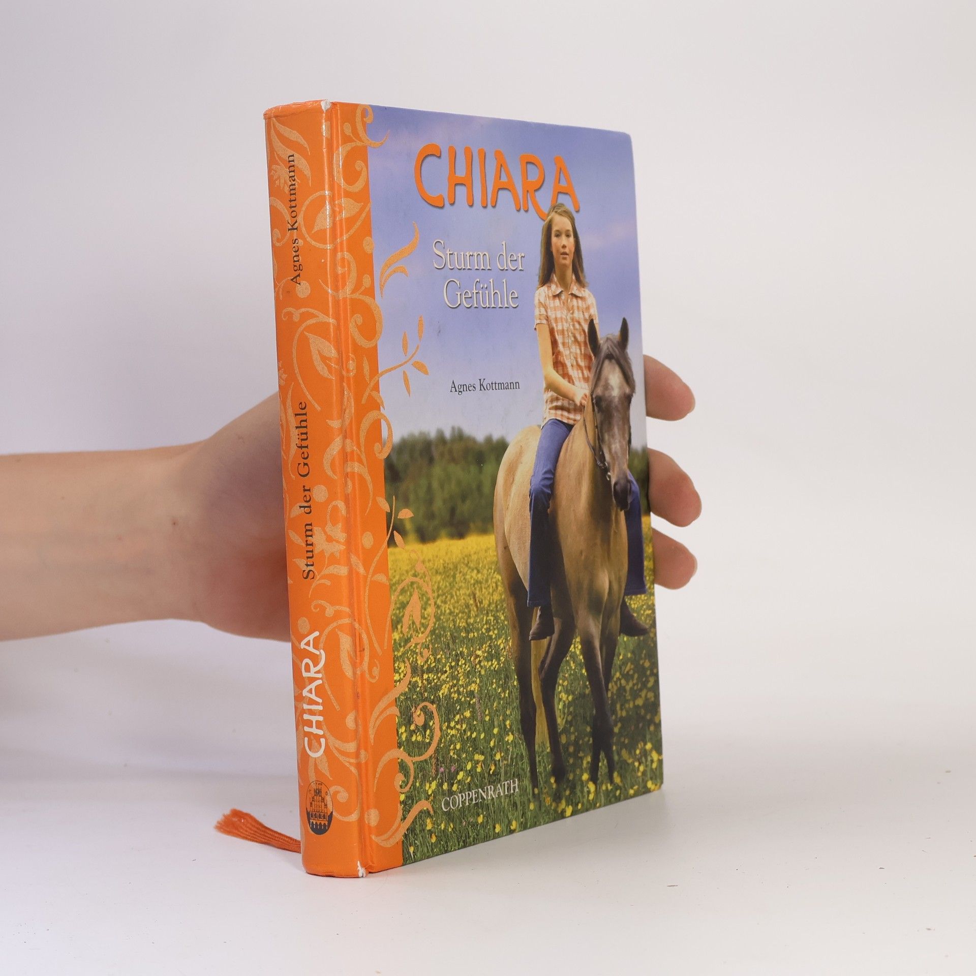 Agnes Kottmann Chiara - Sturm der Gefühle