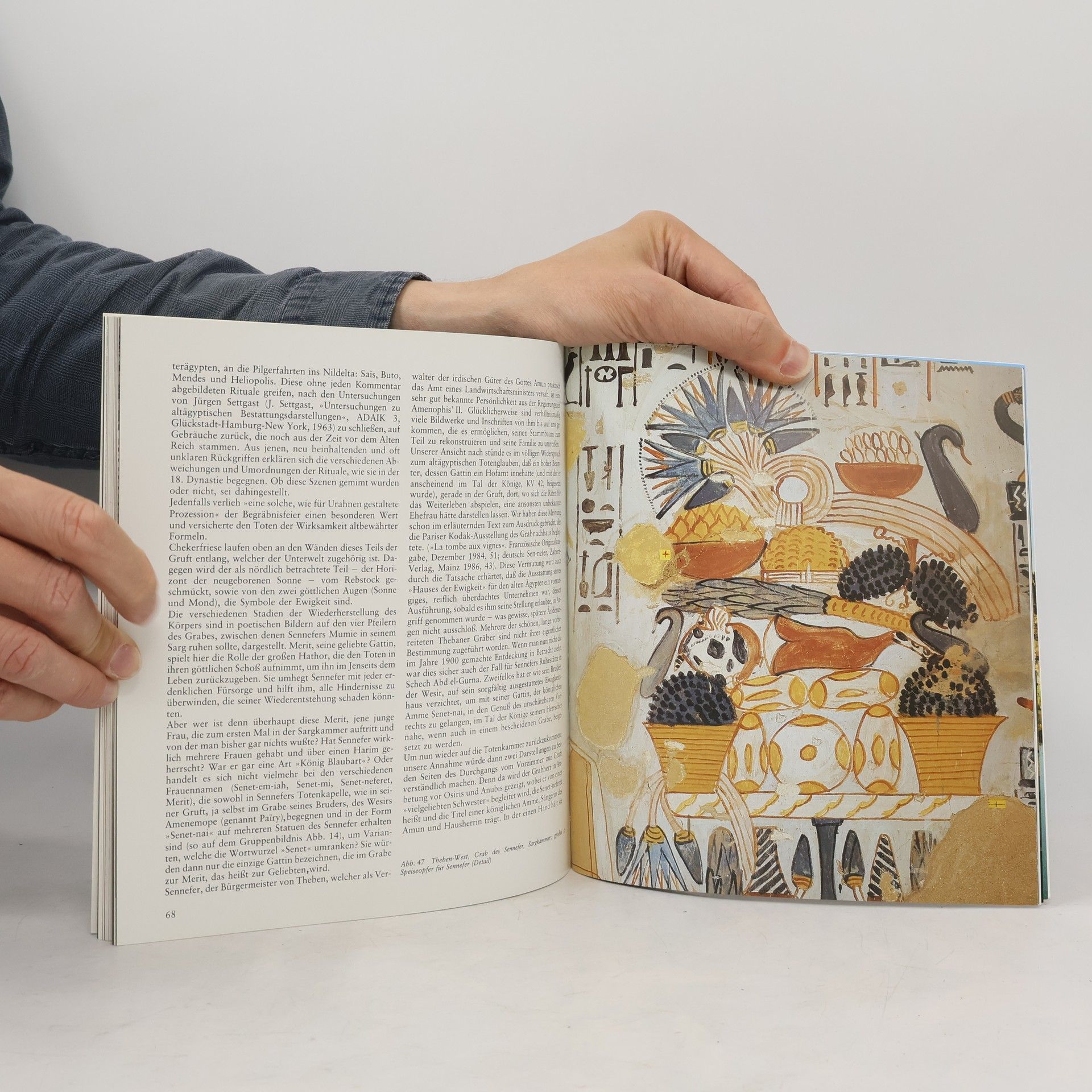 Autores varios Ägypten