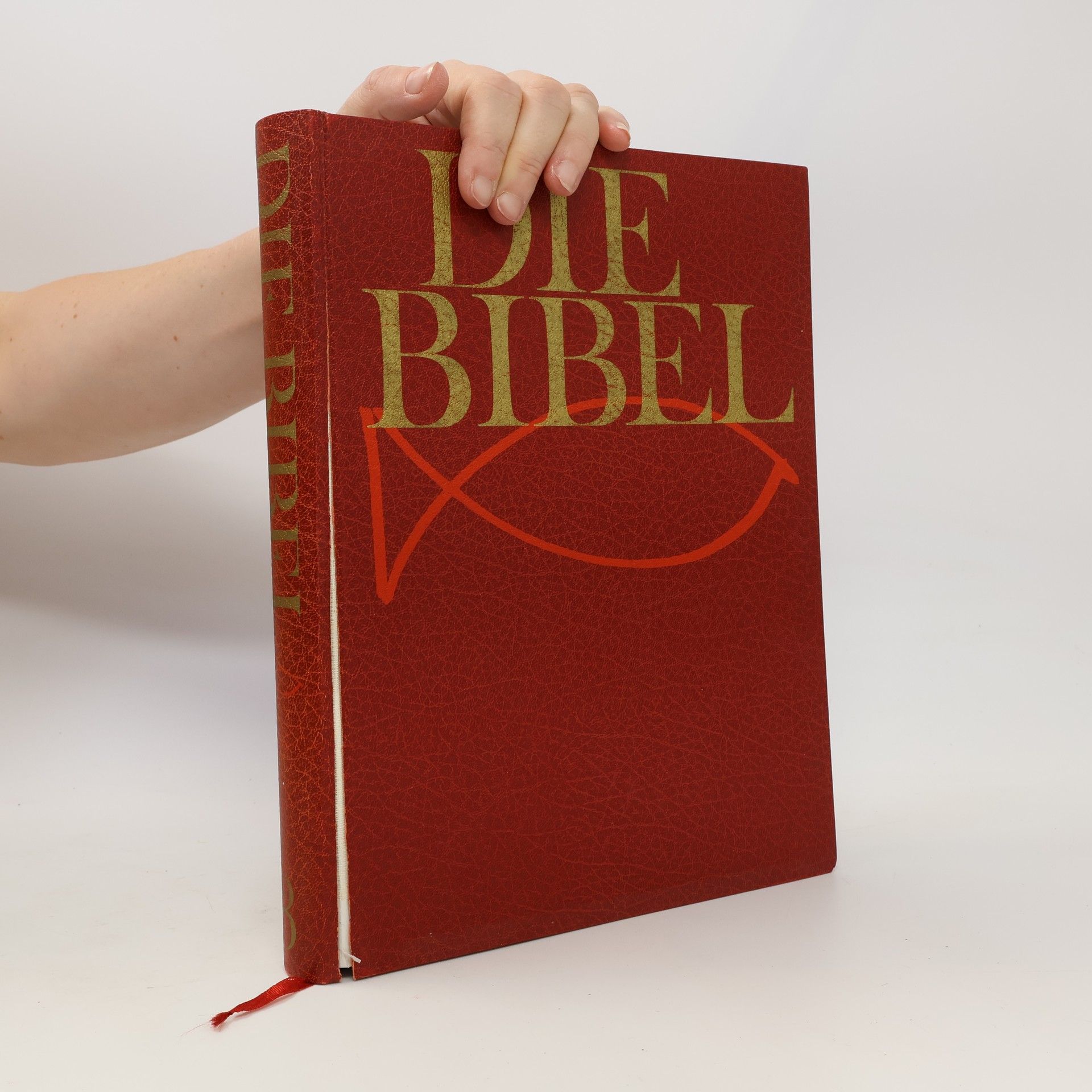 Kolektiv autorů Die Bibel