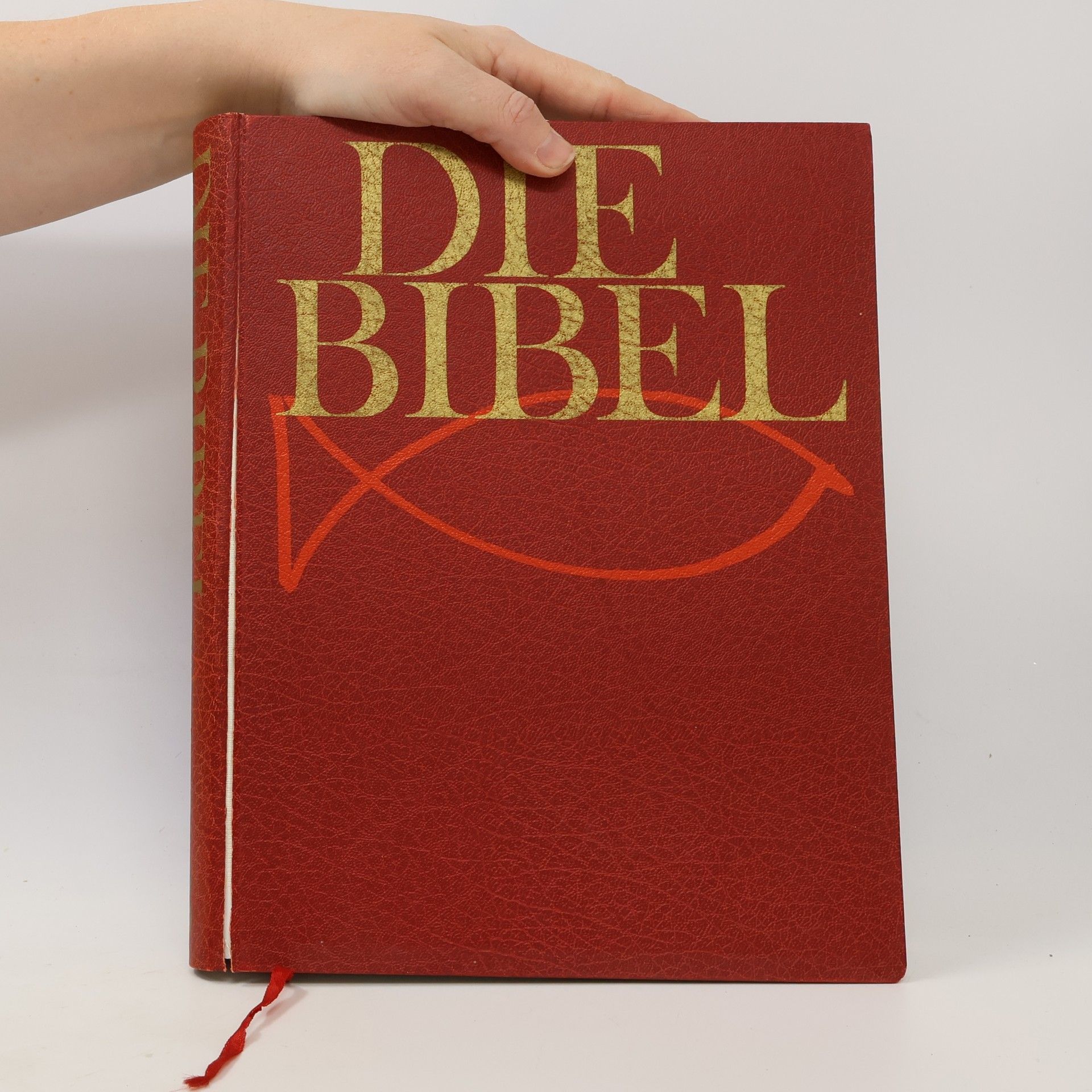 Kolektiv autorů Die Bibel