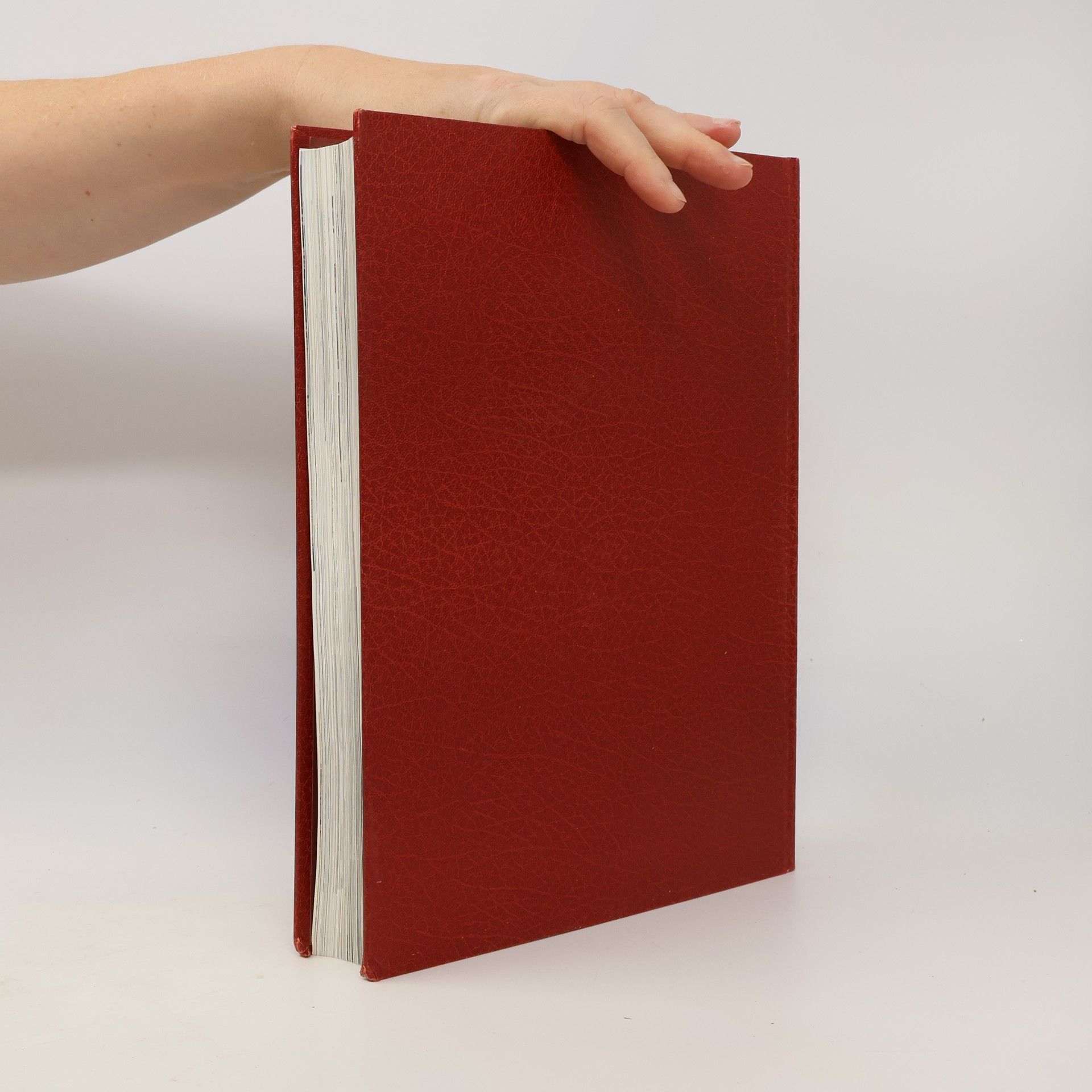 Kolektiv autorů Die Bibel