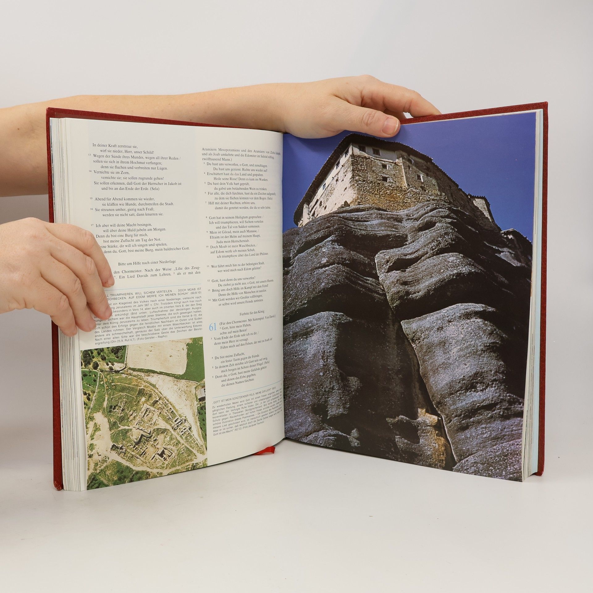 Kolektiv autorů Die Bibel