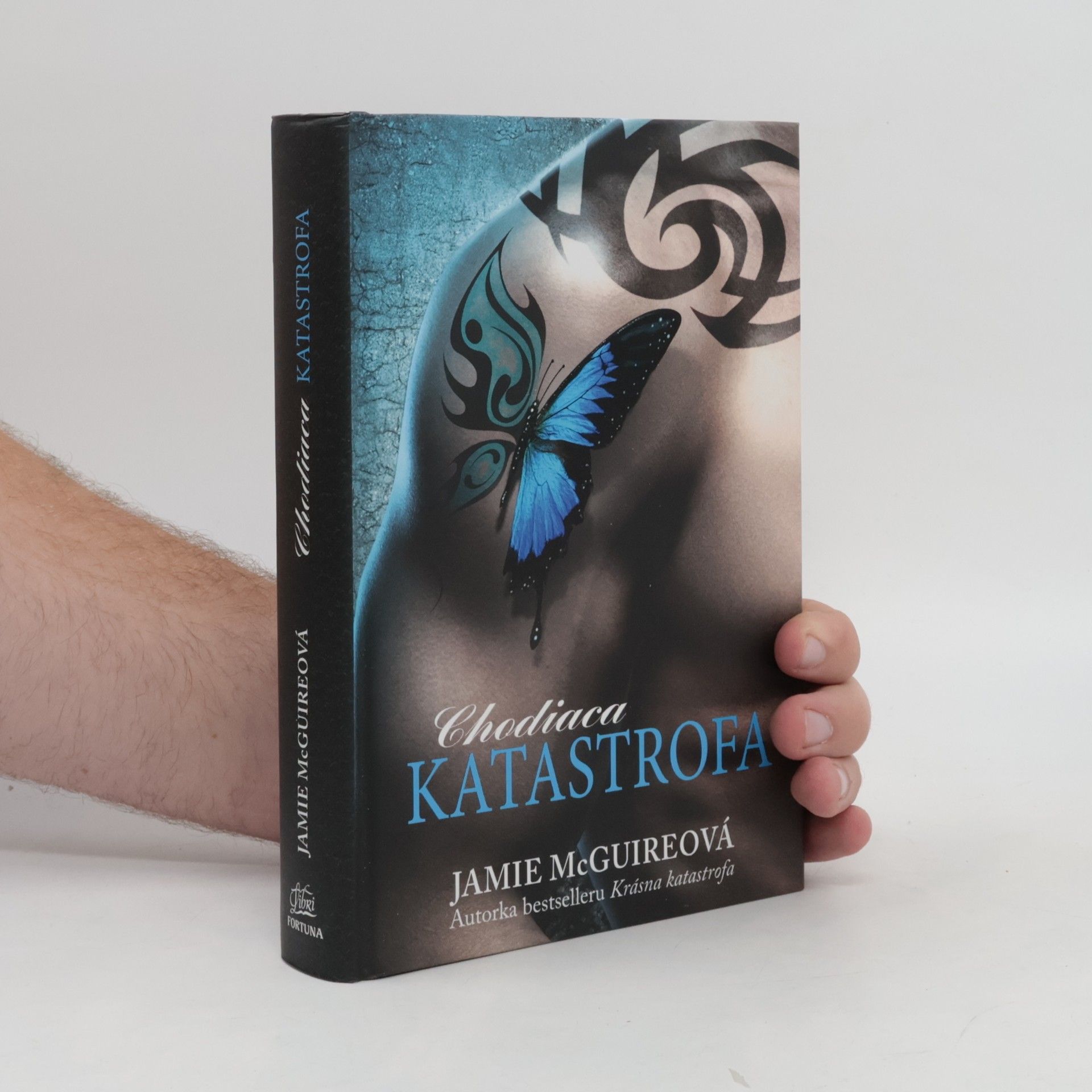 Jamie McGuire Chodiaca katastrofa