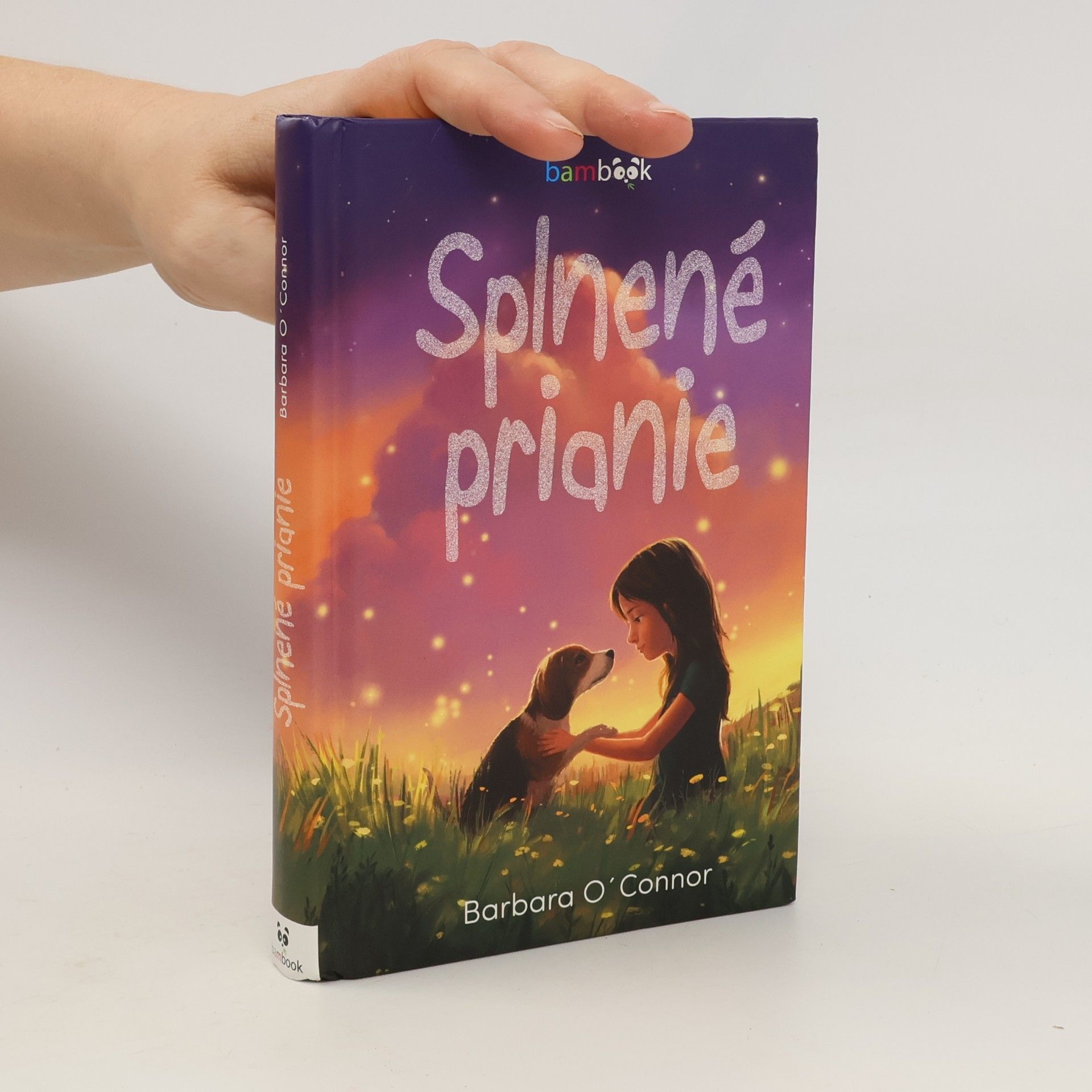 Barbara O'Connor Splnené prianie