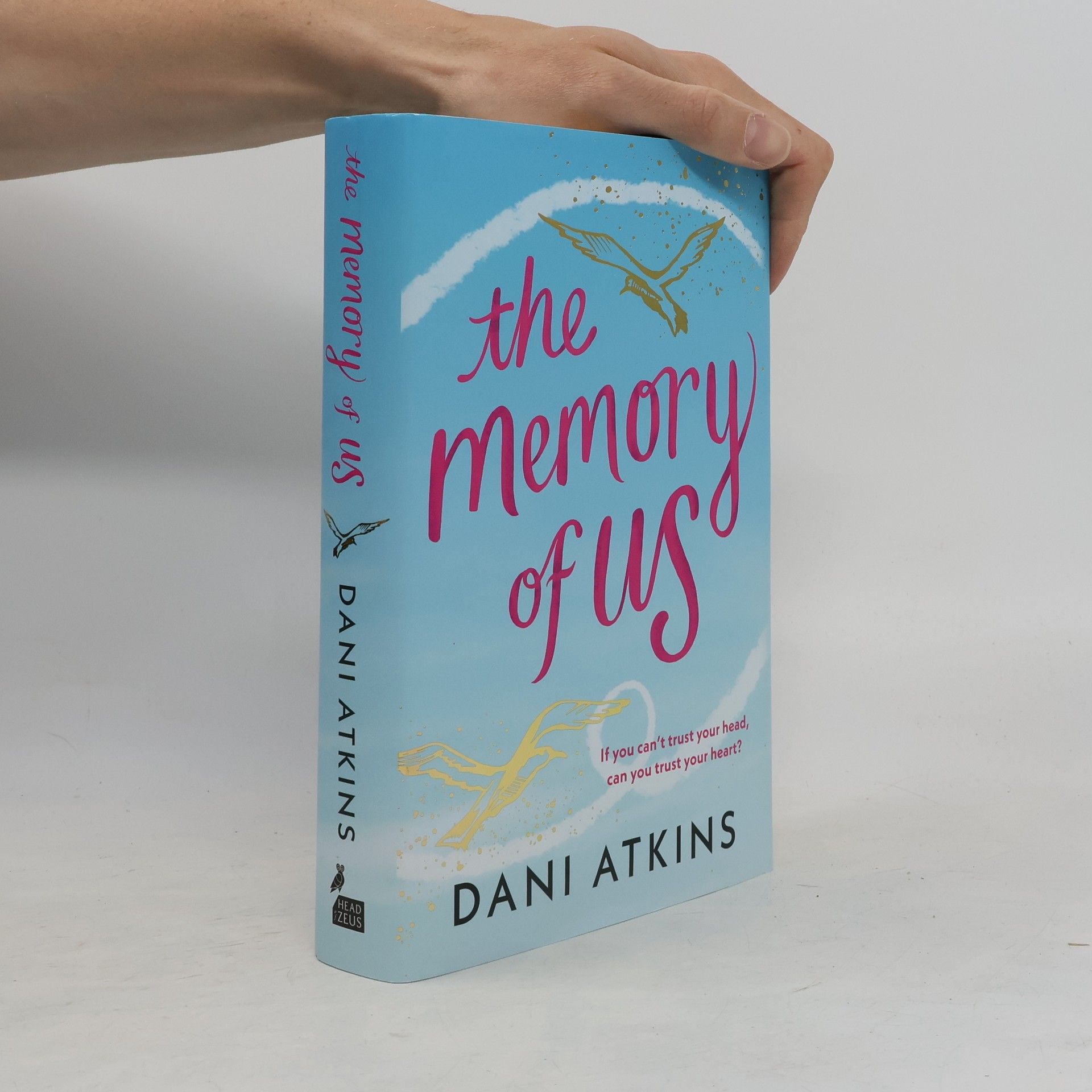 Dani Atkins The Memory of Us