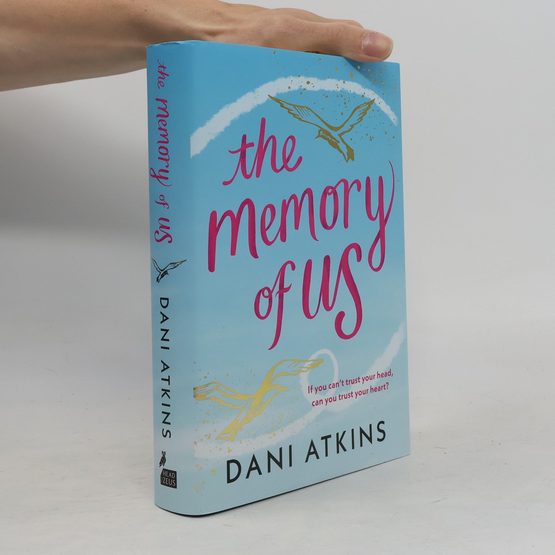 Dani Atkins The Memory of Us