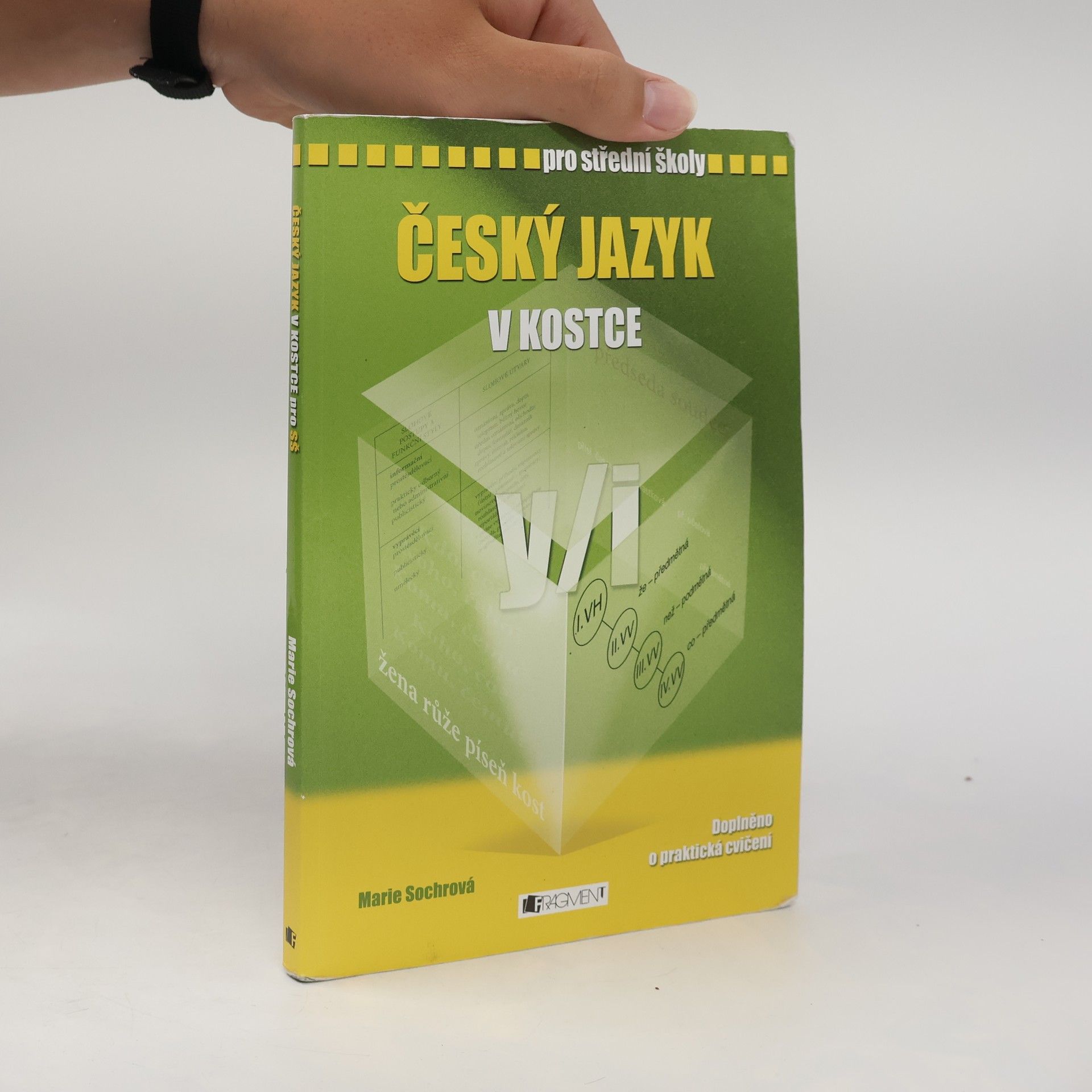 Marie Sochrová Český jazyk v kostce : pro střední školy