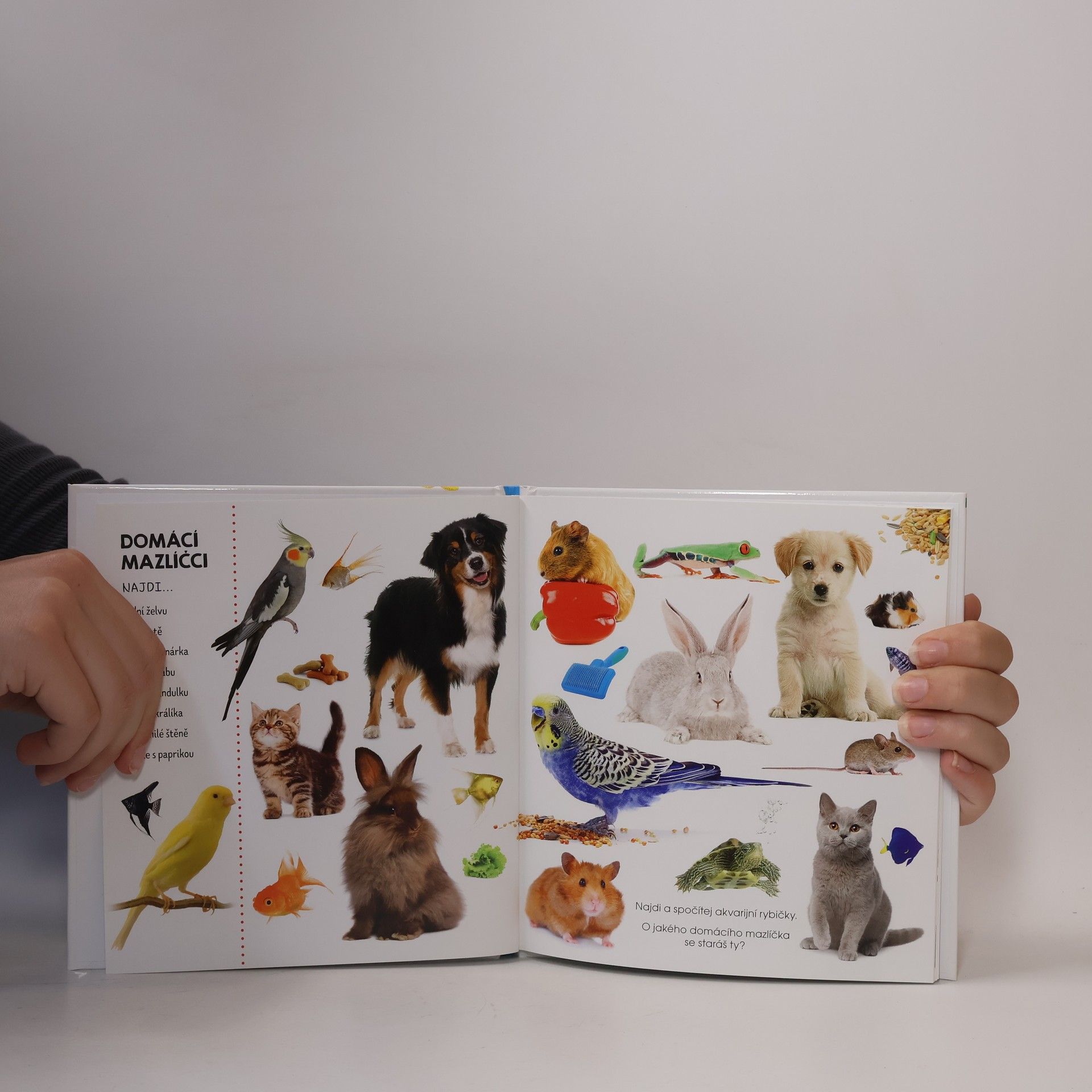 Kolektiv autorů Hledej v obrázcích. Zvířata : fotokniha