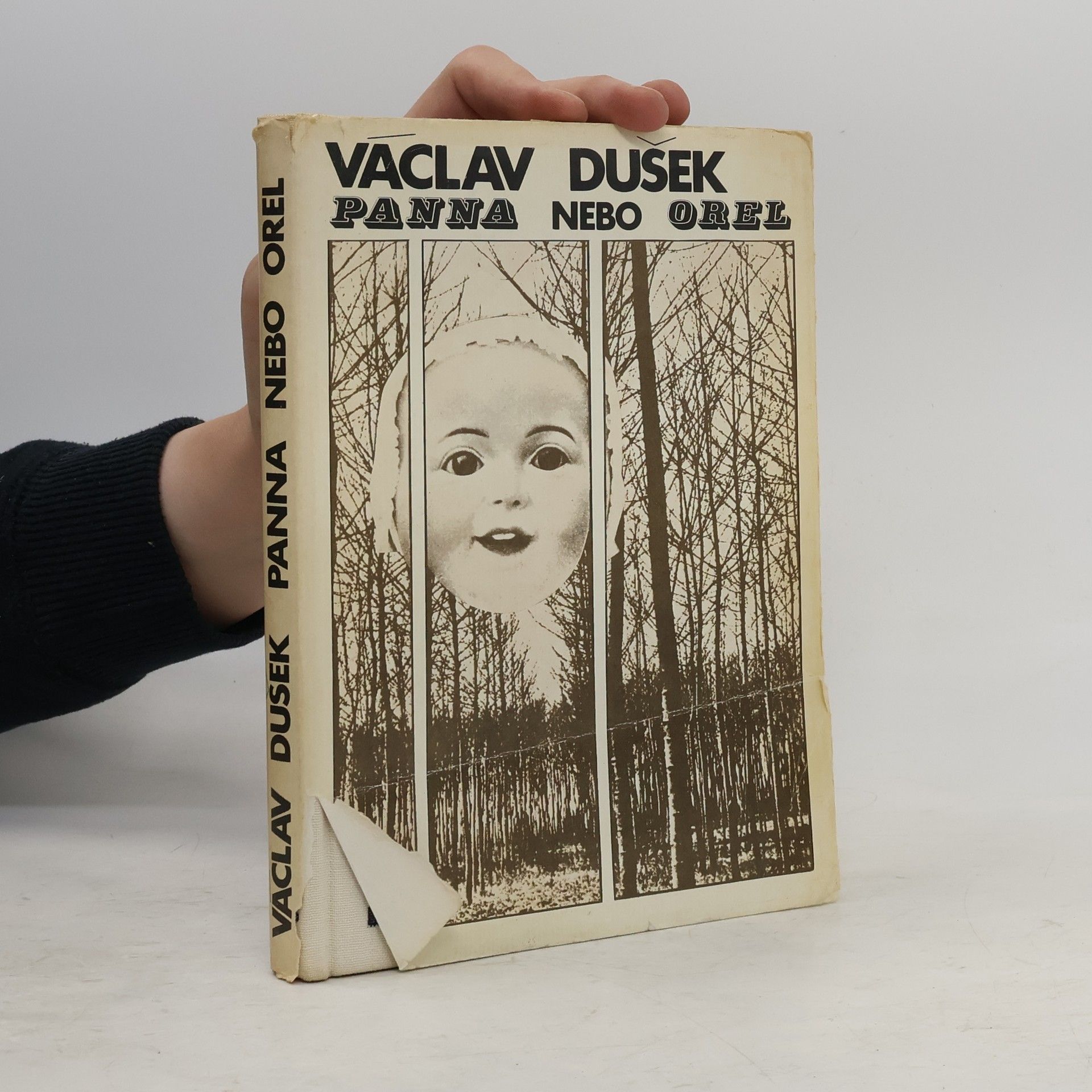 Václav Dušek Panna nebo orel