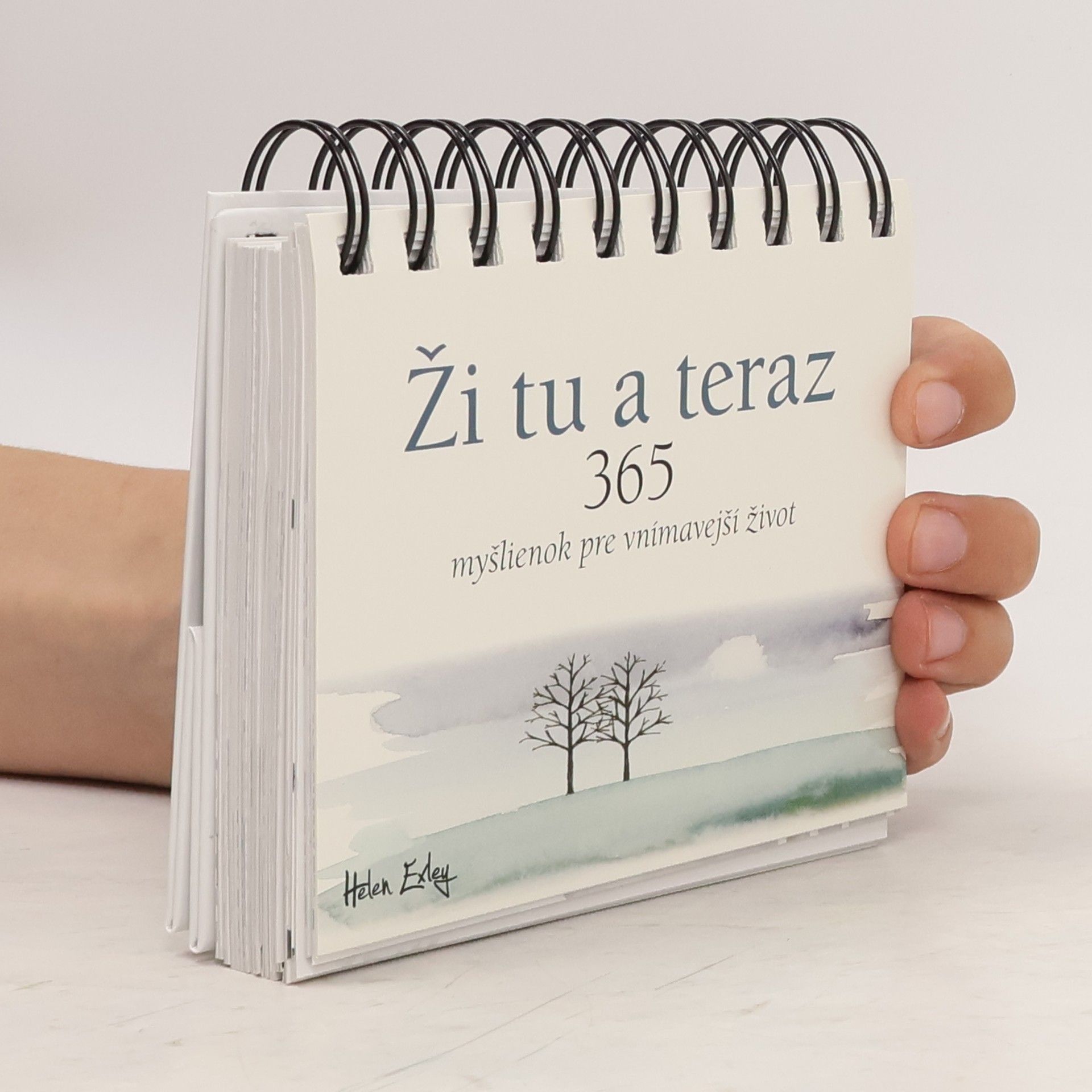 Ži tu a teraz: 365 myšlienok pre vnímavejší život