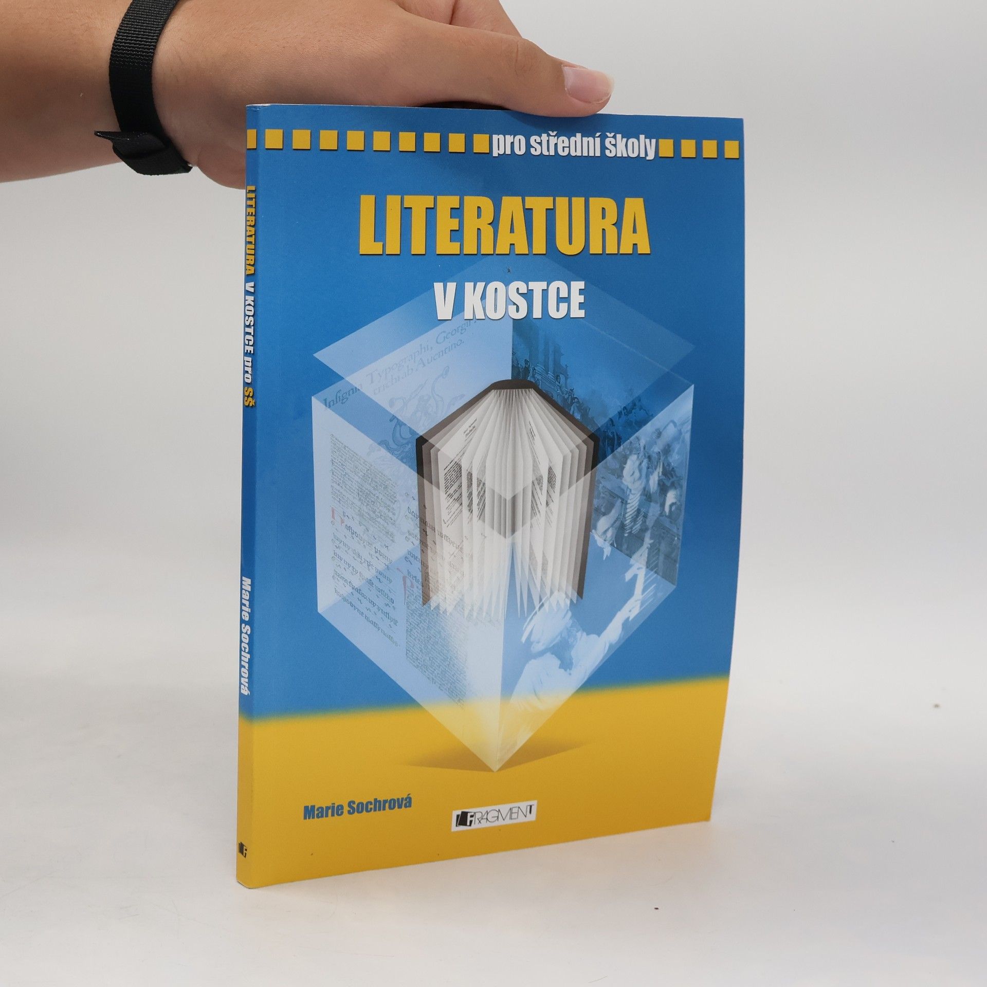 Marie Sochrová Literatura v kostce : pro střední školy