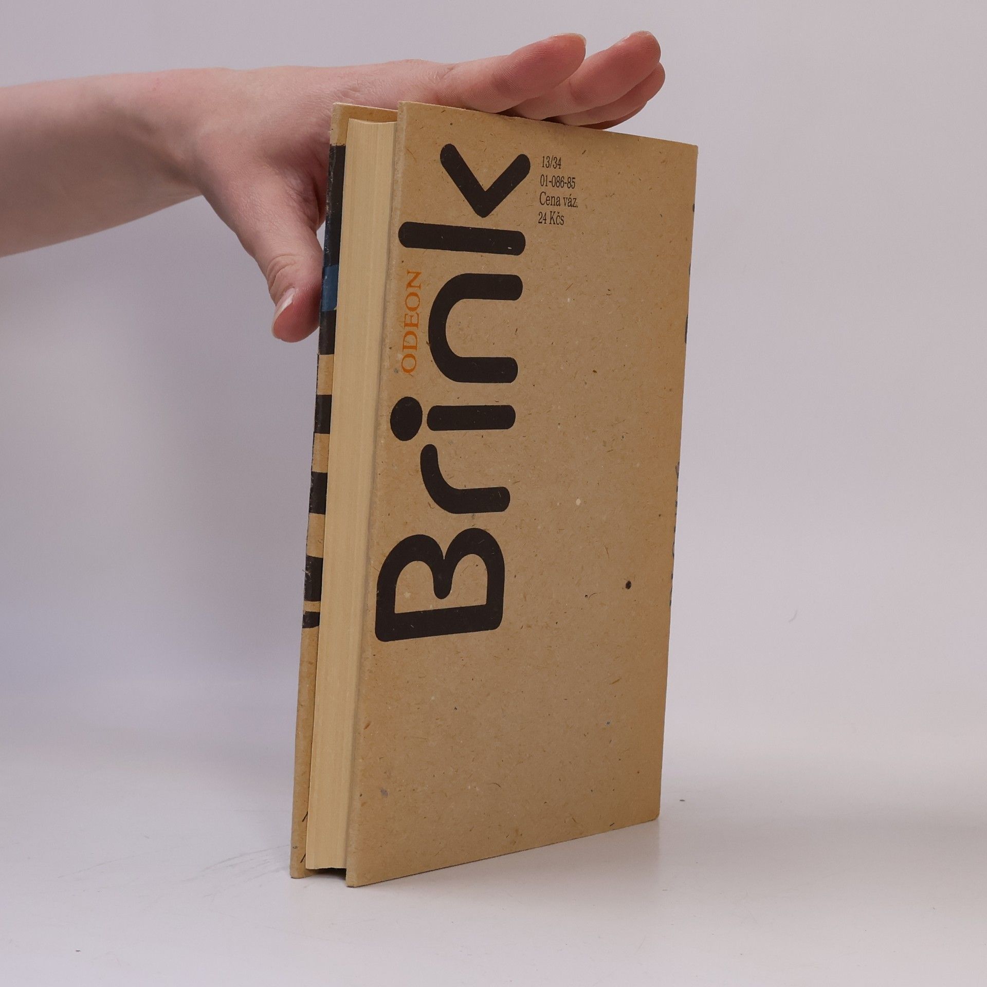 André Brink Dlouhé bílé sucho