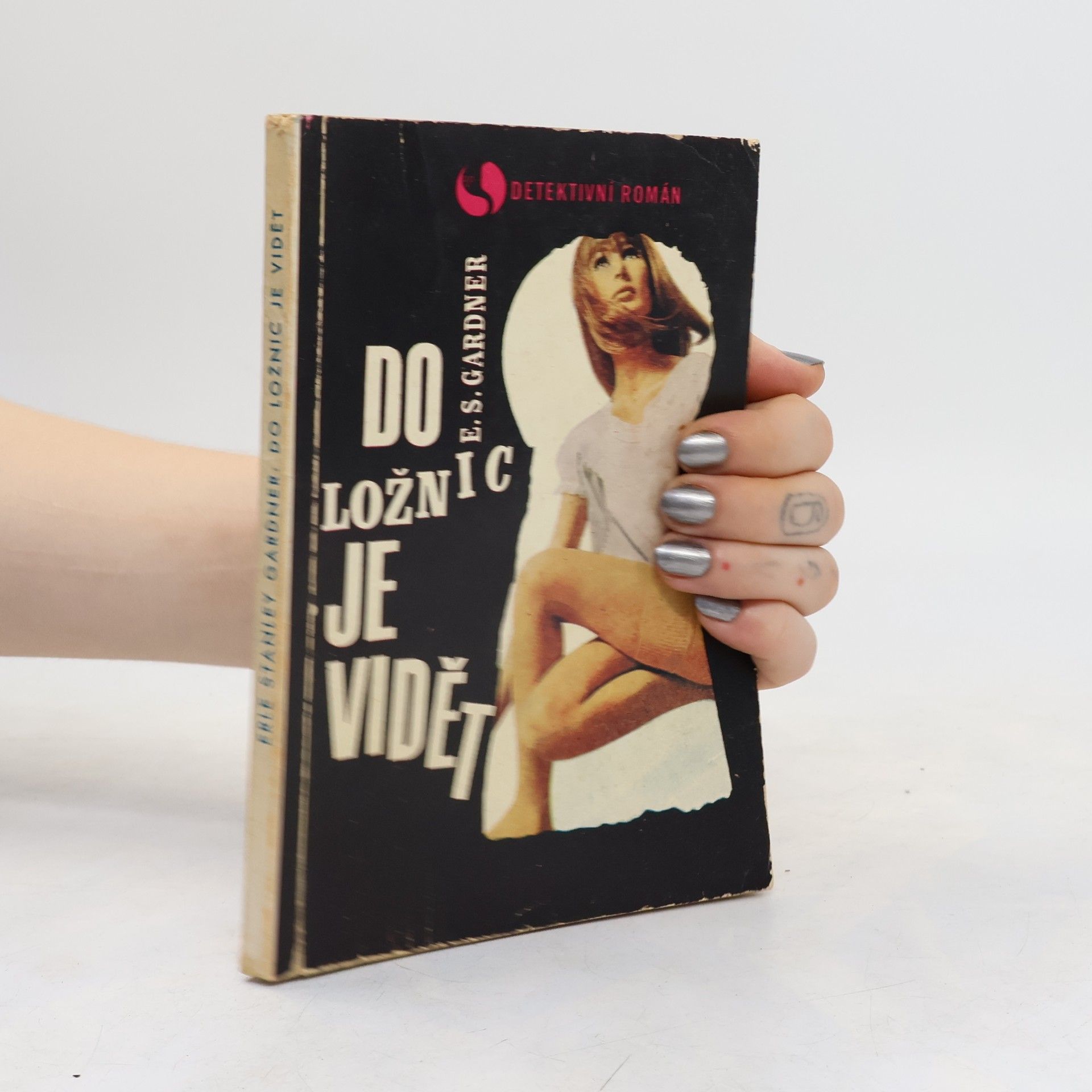 Erle Stanley Gardner Do ložnic je vidět