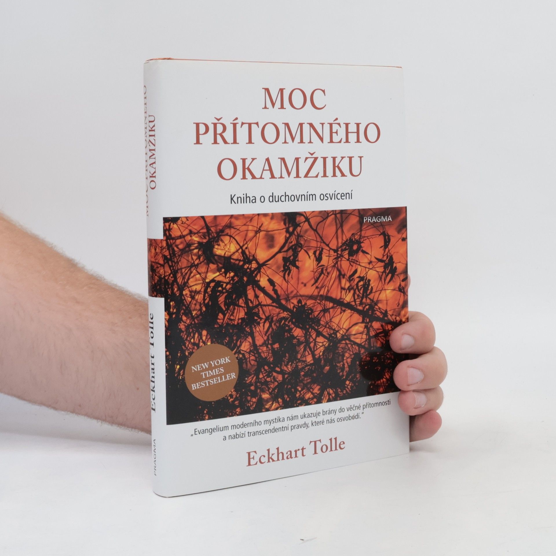 Eckhart Tolle Moc přítomného okamžiku