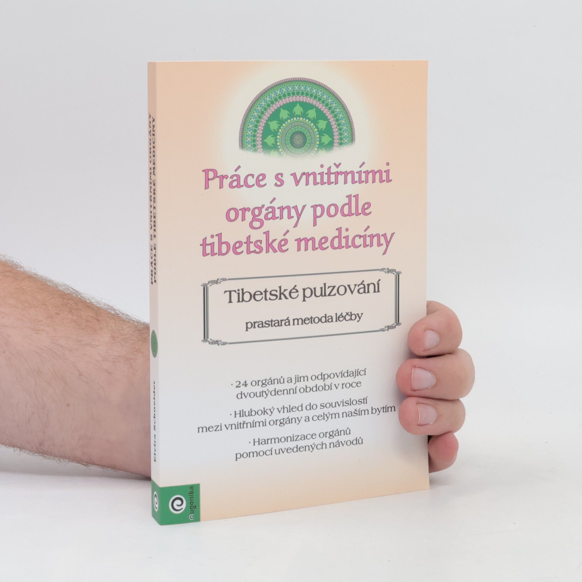 Elvira Schneider Práce s vnitřními orgány podle tibetské medicíny