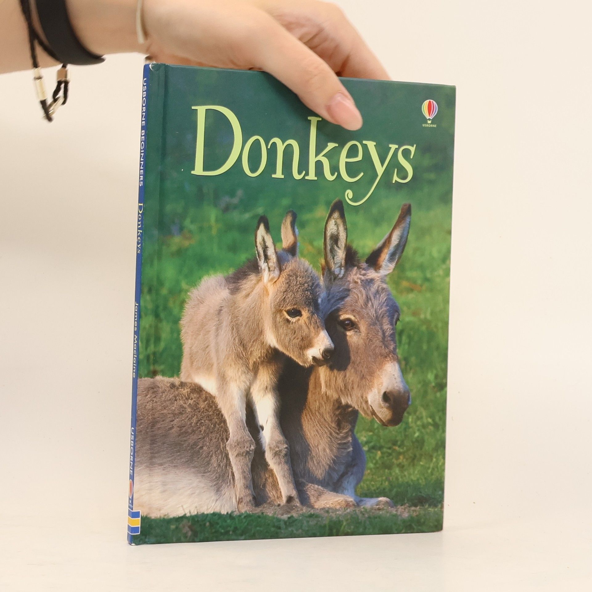 Donkeys