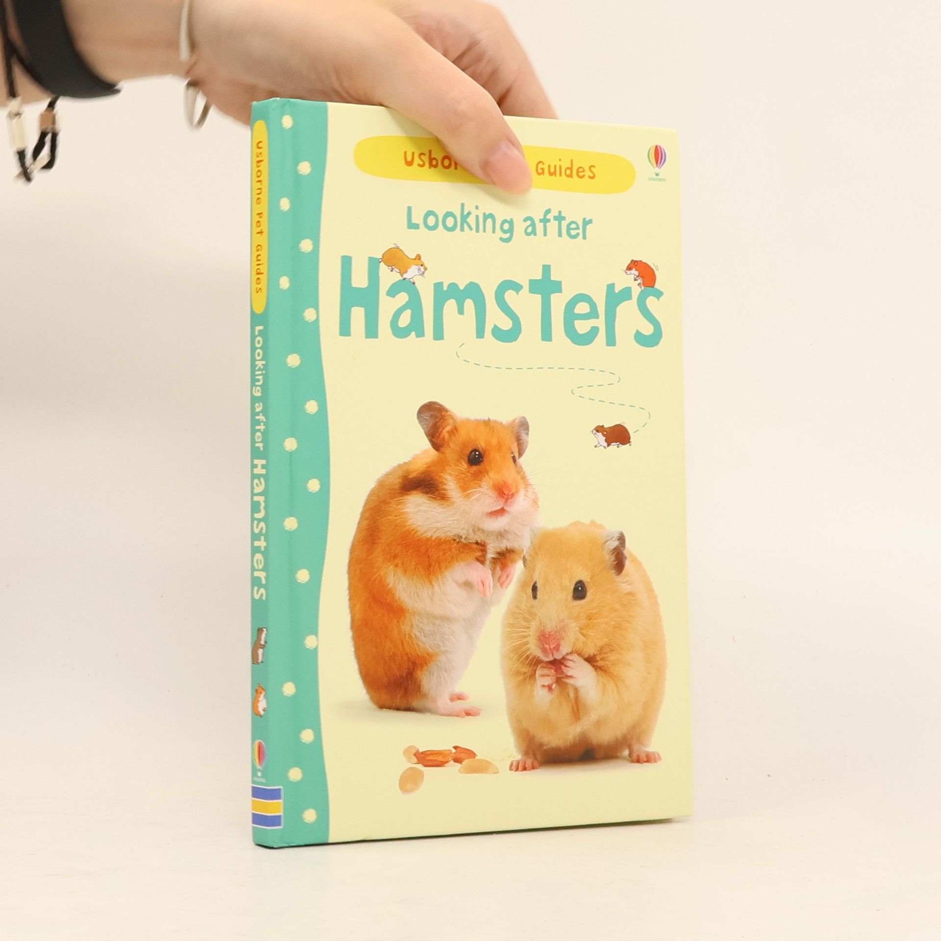Looking after hamsters