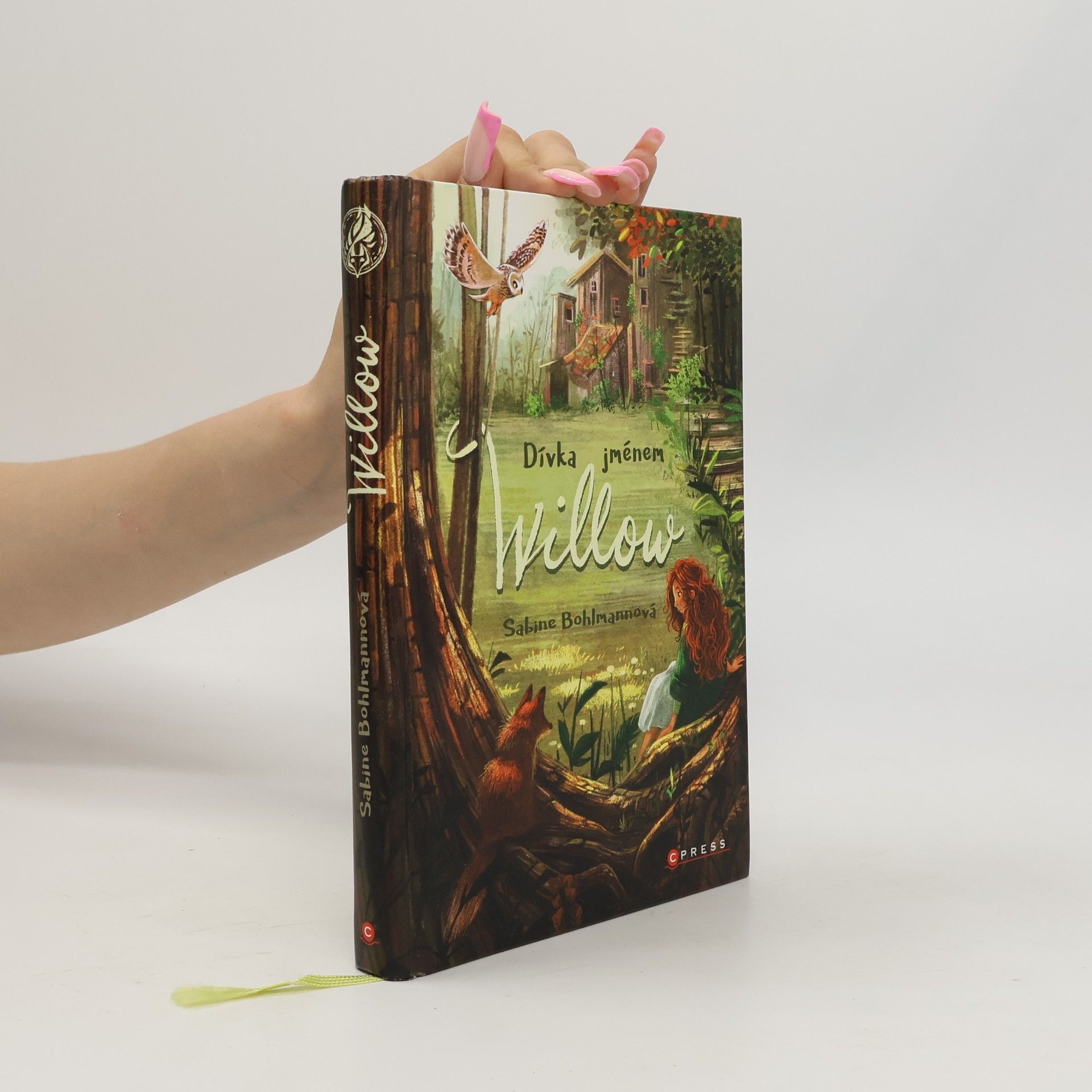 Sabine Bohlmann Dívka jménem Willow