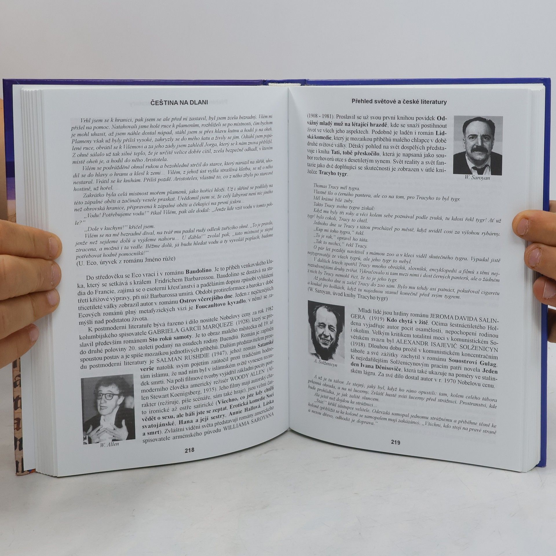 Alois Bauer Čeština na dlani: Přehled světové a české literatury, český jazyk