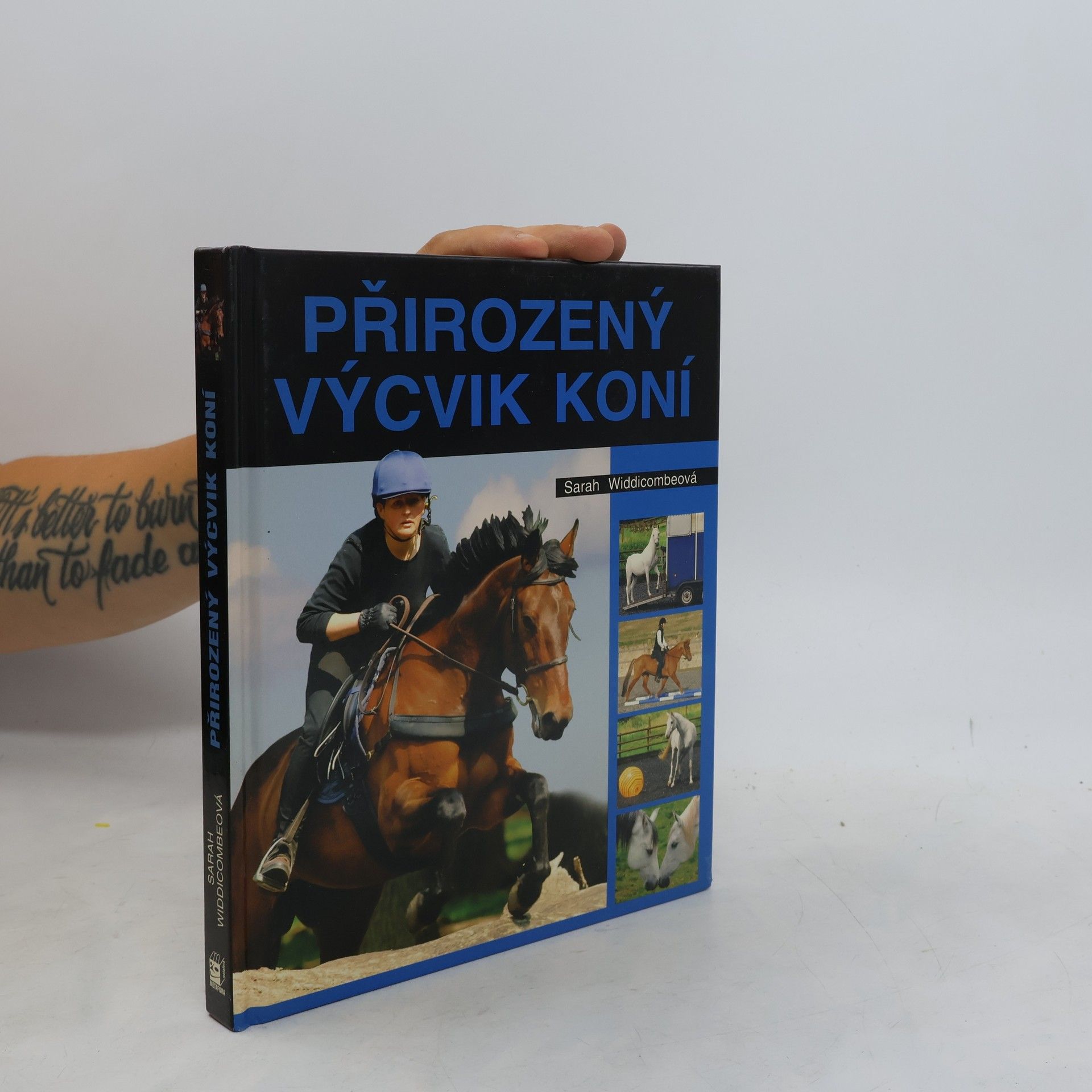 Sarah Widdicombe Přirozený výcvik koní