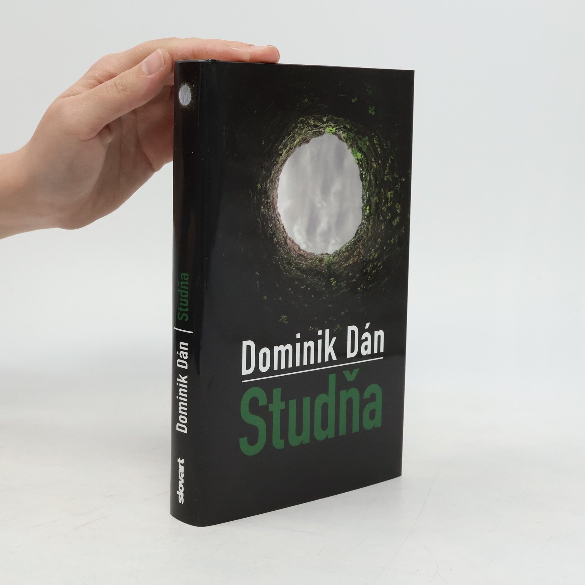 Dominik Dán Studňa