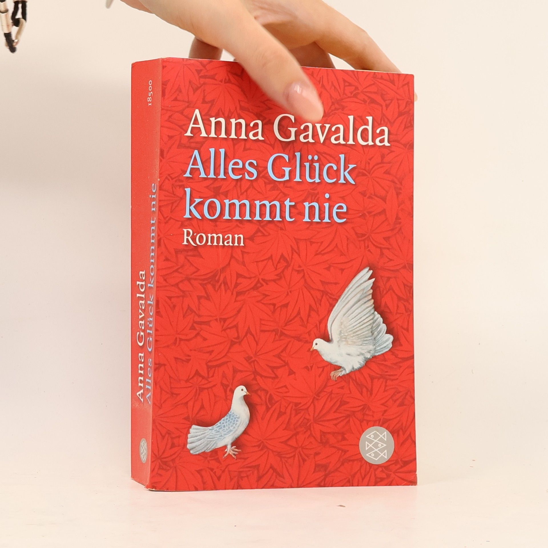 Anna Gavalda Alles Glück kommt nie
