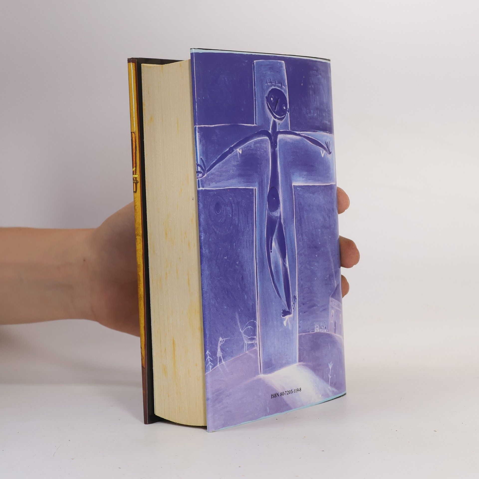 John Irving Modlitba za Owena Meanyho
