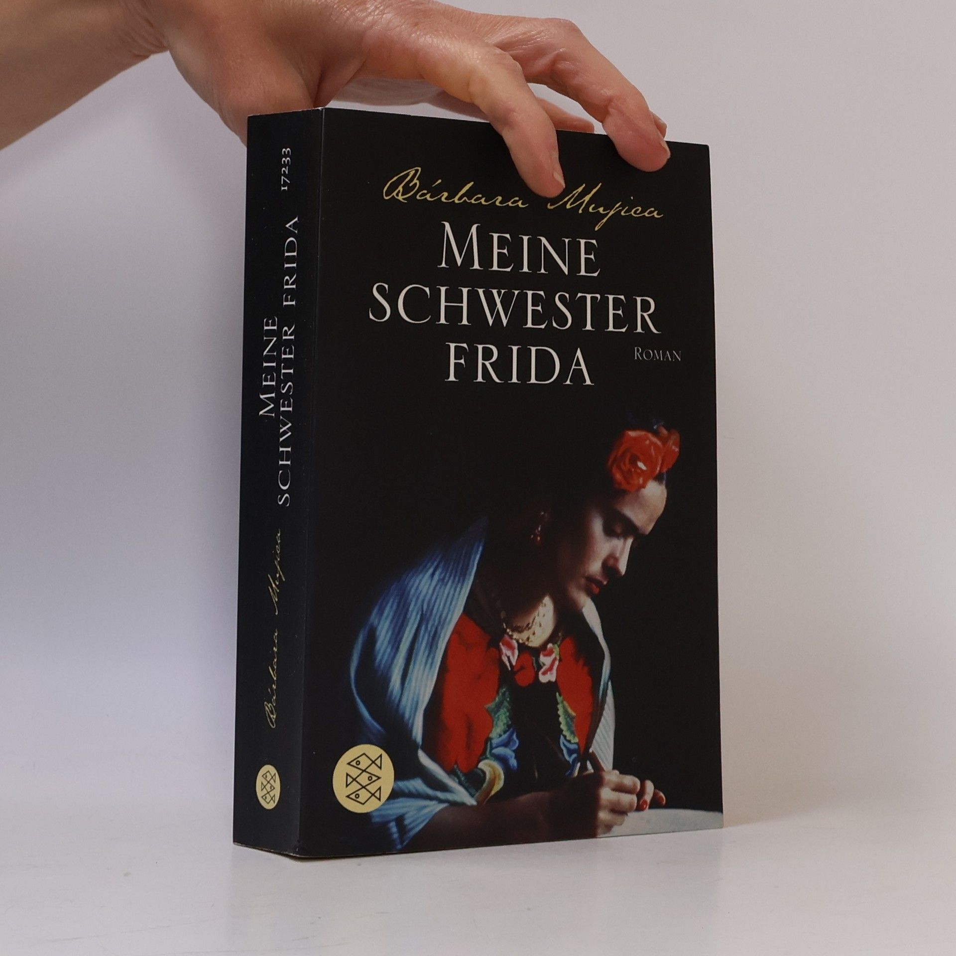 Bárbara Mujica Meine Schwester Frida