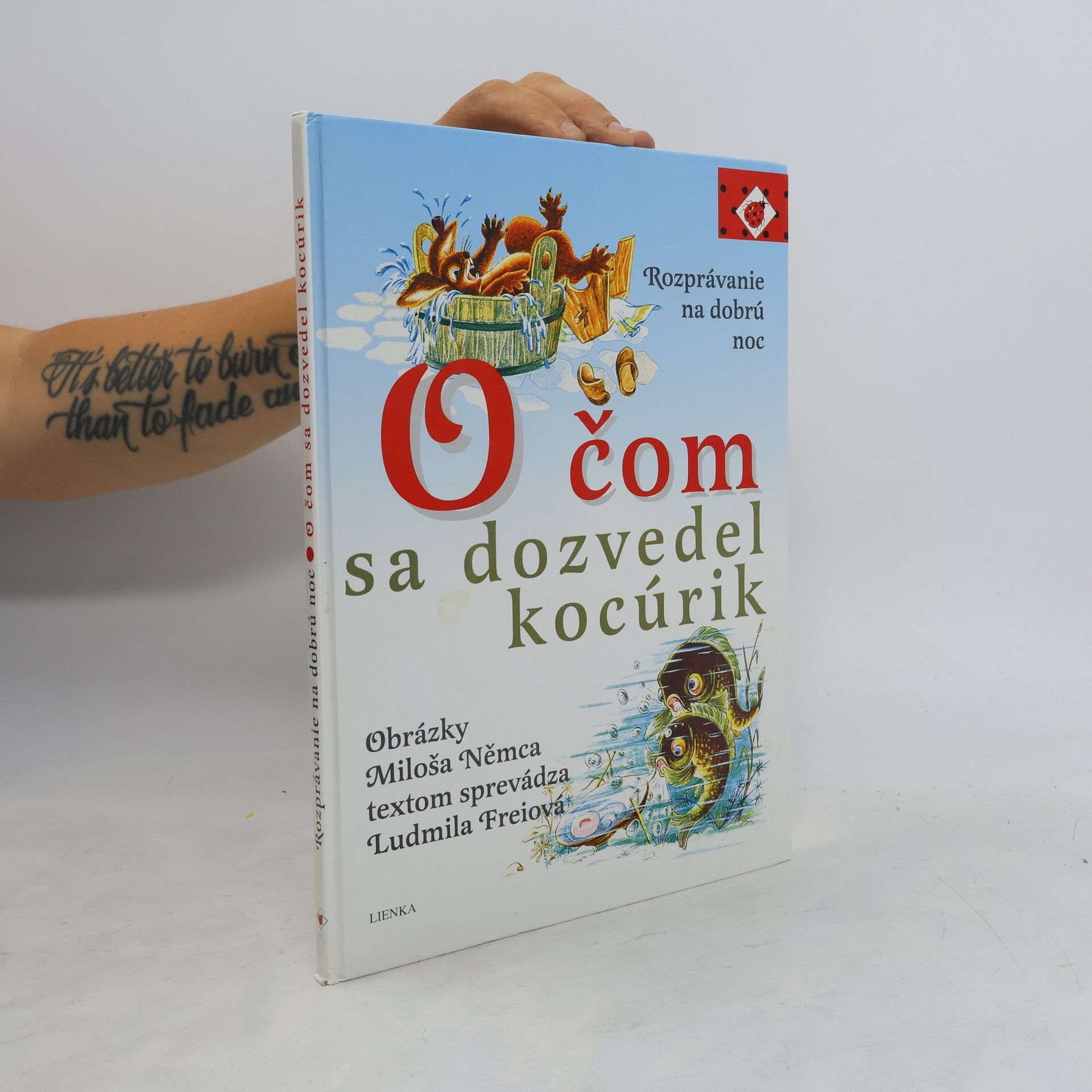 O čom sa dovedel kocúrik