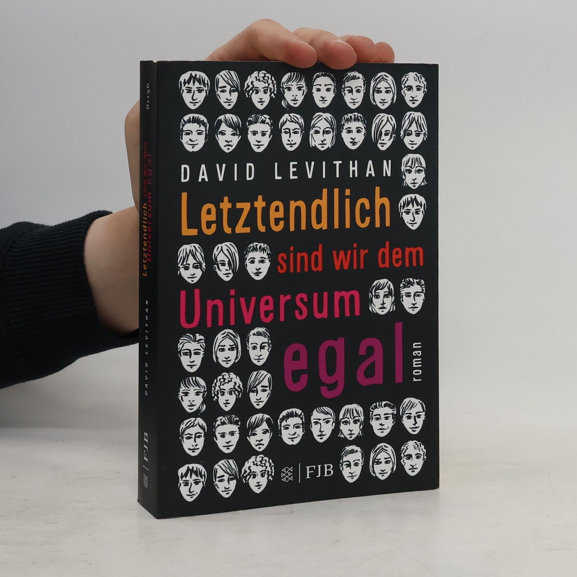 David Levithan Letztendlich sind wir dem Universum egal