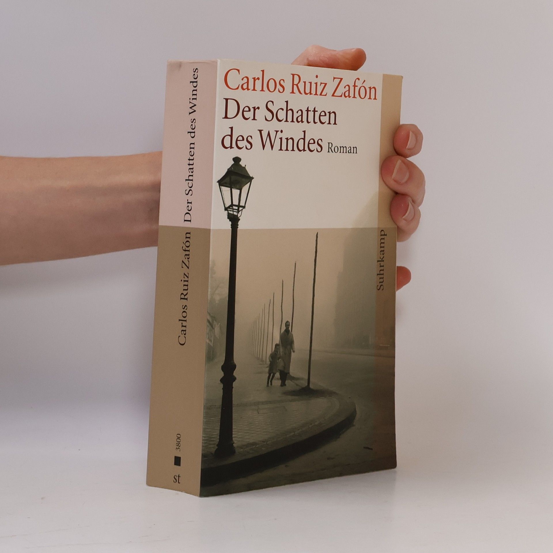 Carlos Ruiz Zafón Der Schatten des Windes