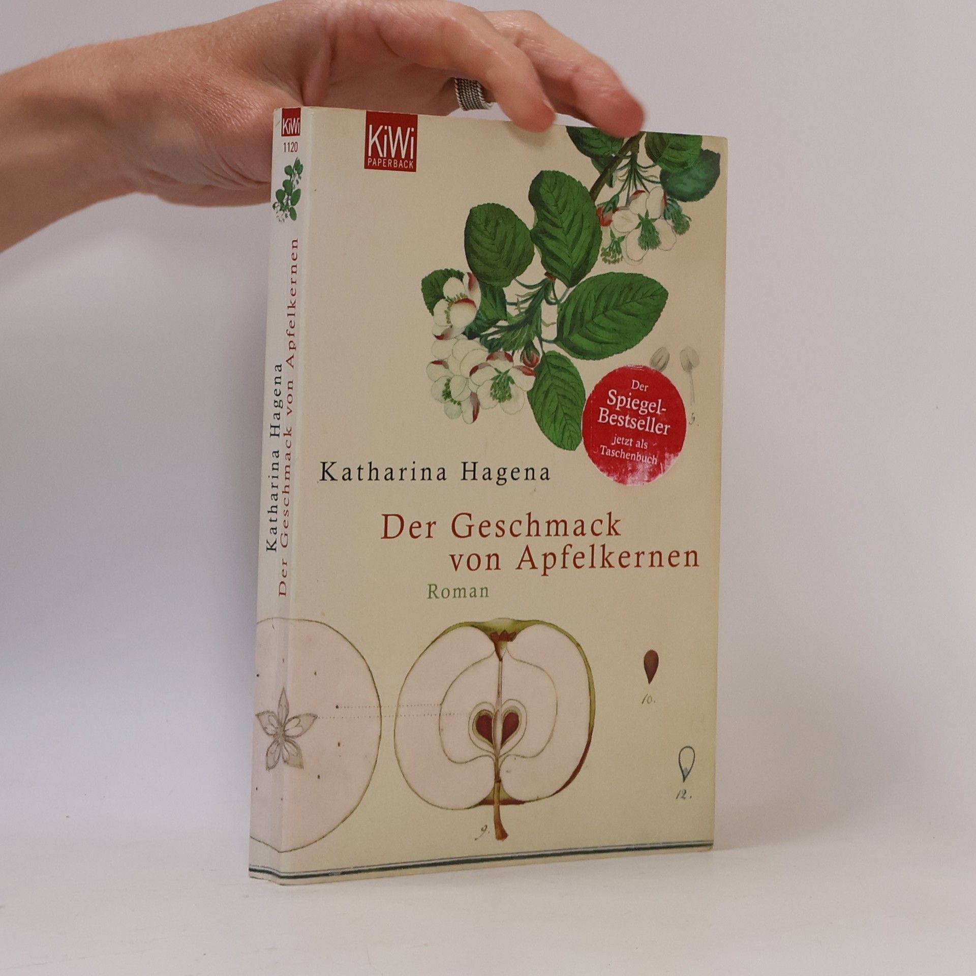 Katharina Hagena Der Geschmack von Apfelkernen