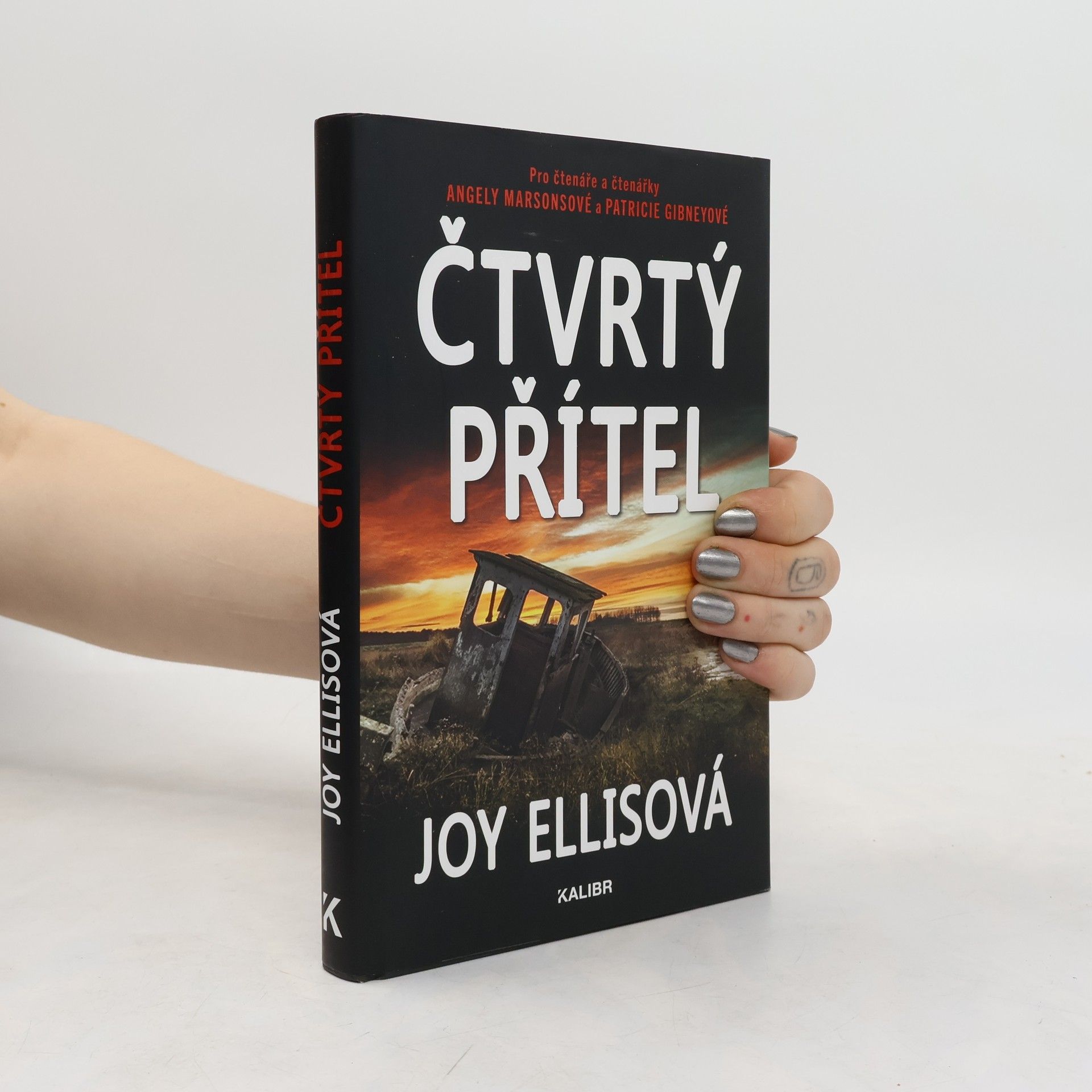 Joy Ellis Čtvrtý přítel
