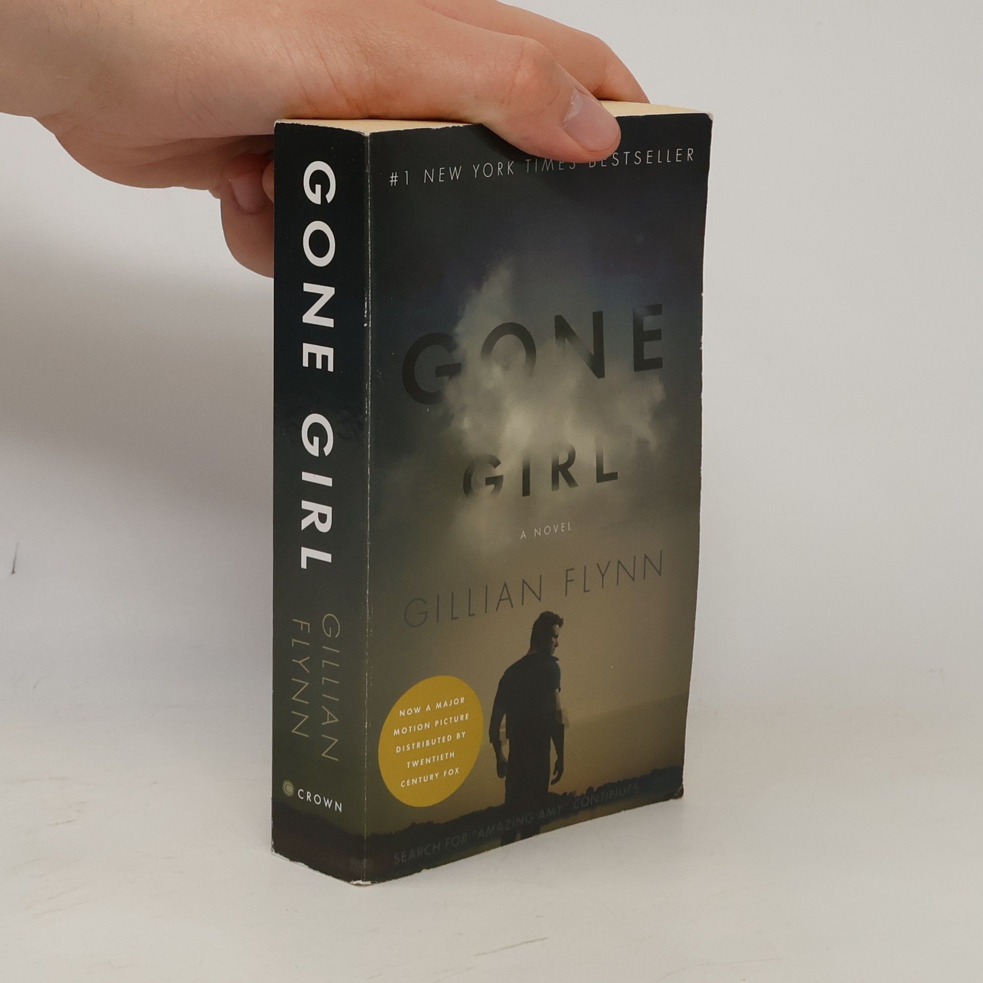 Gillian Flynn Gone Girl