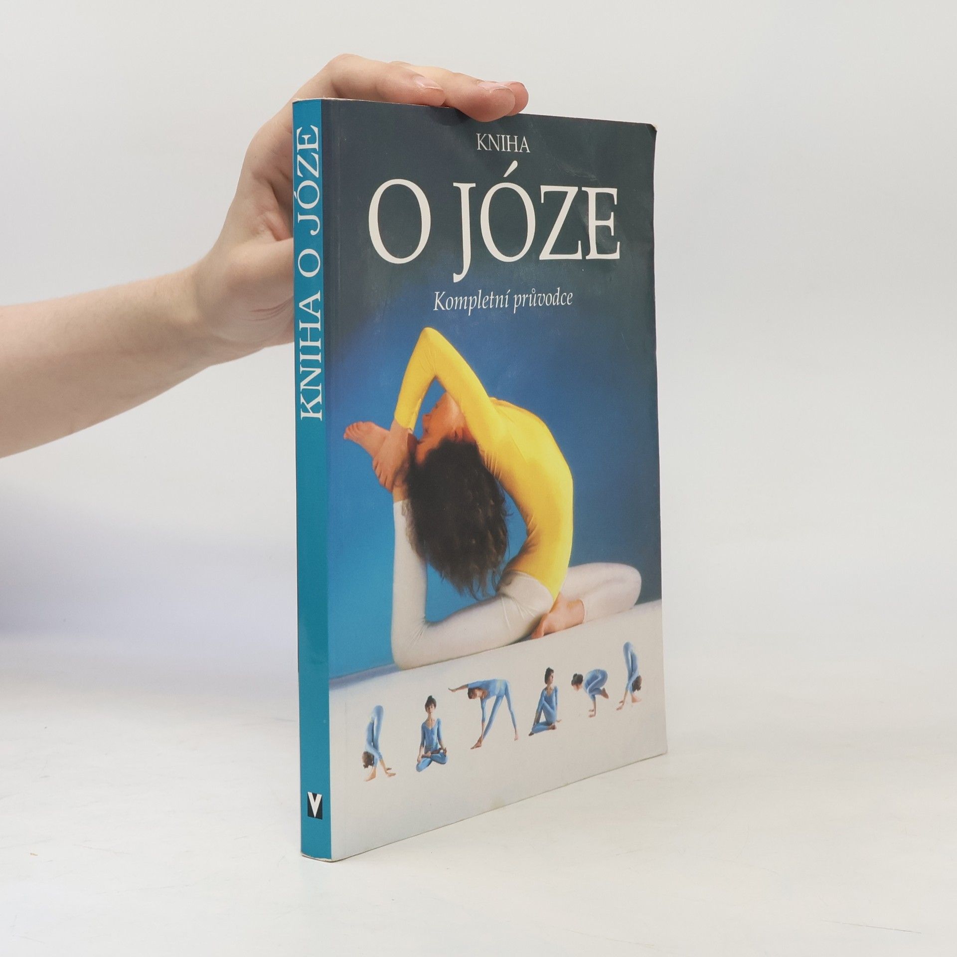Giris Rabinovič Kniha o józe