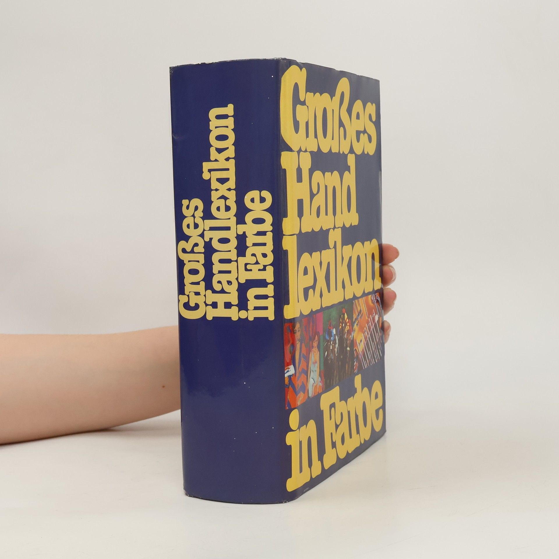 Autorenkollektiv Großes Handlexikon in Farbe