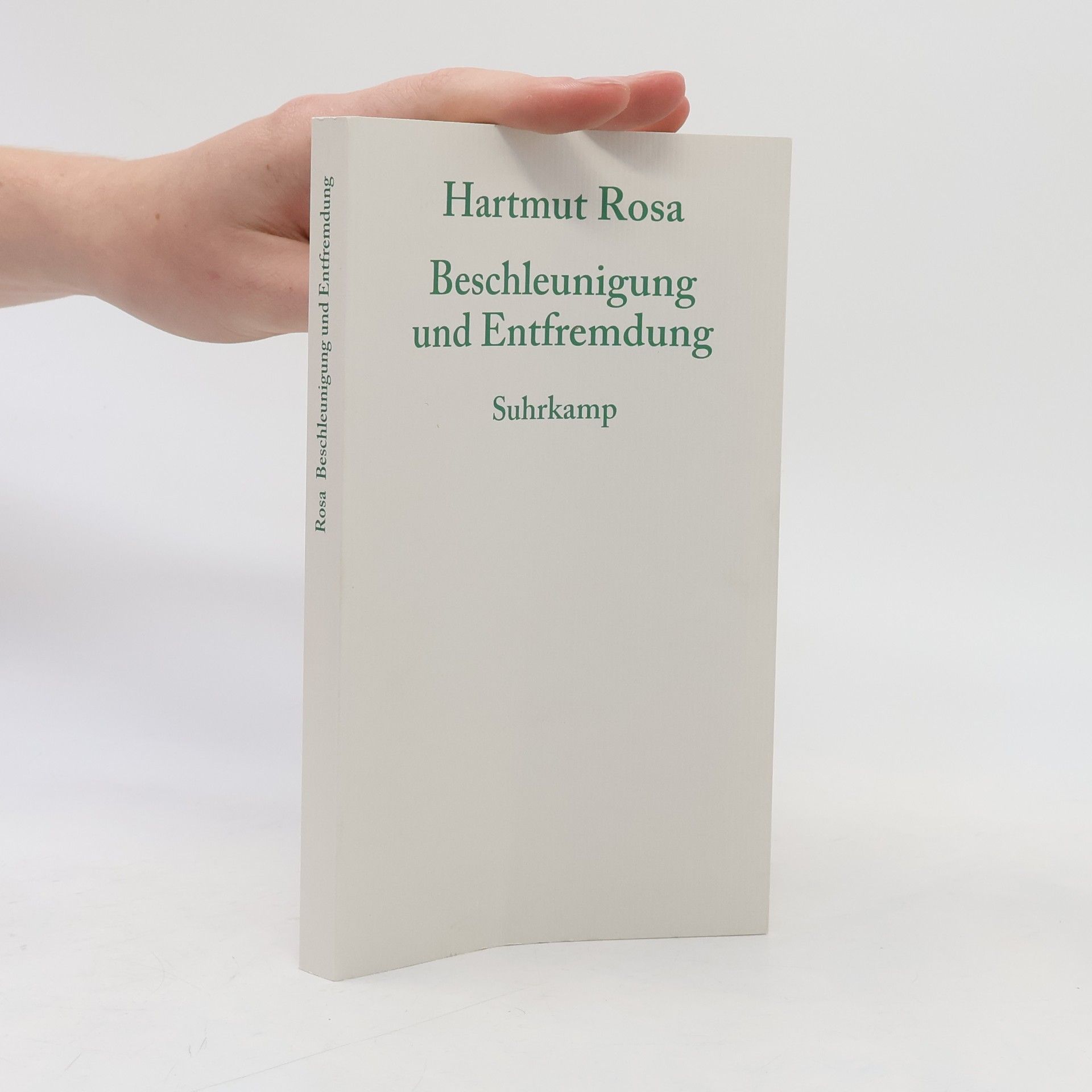 Hartmut Rosa Beschleunigung und Entfremdung