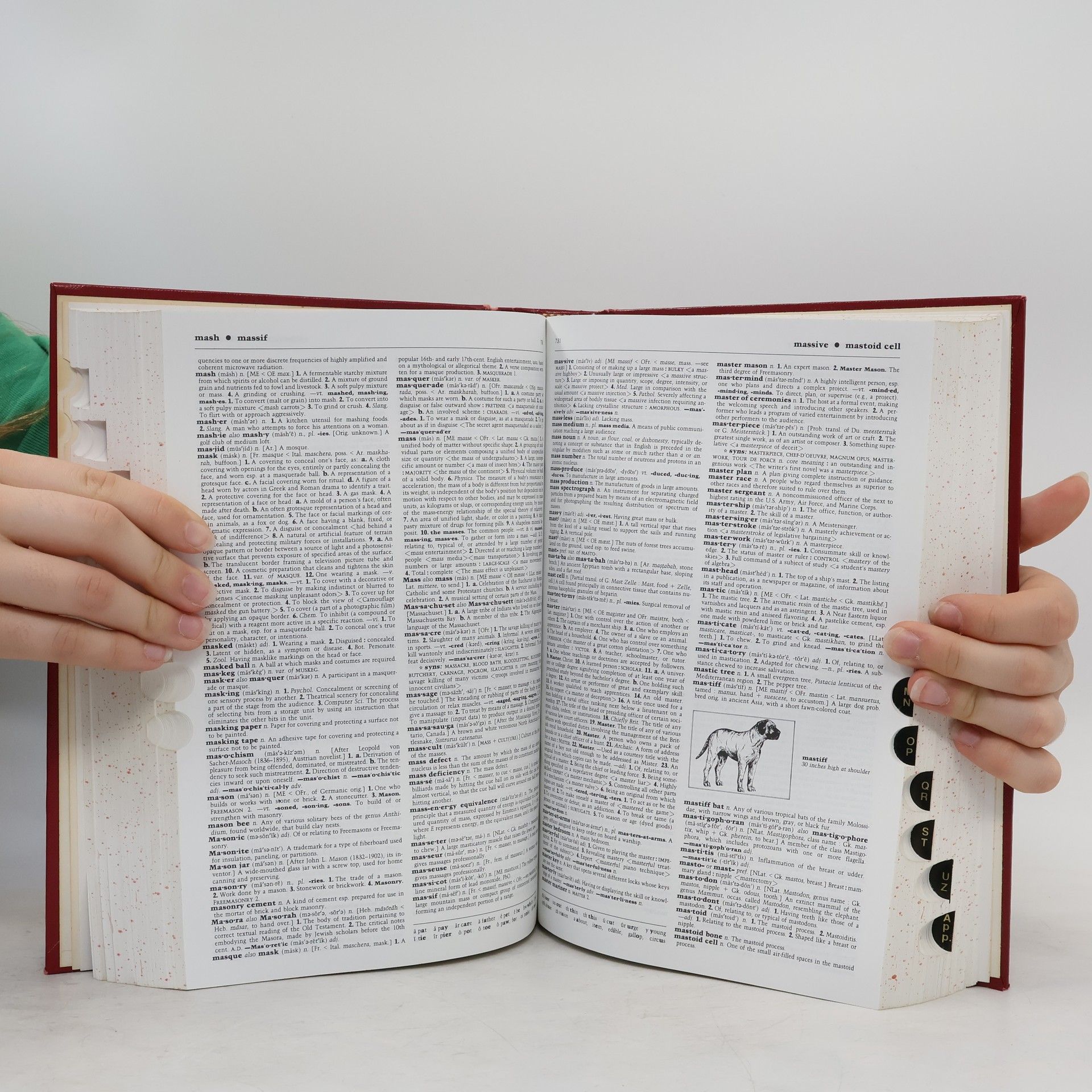 AA.VV. Webster´s II : new Riverside university dictionary