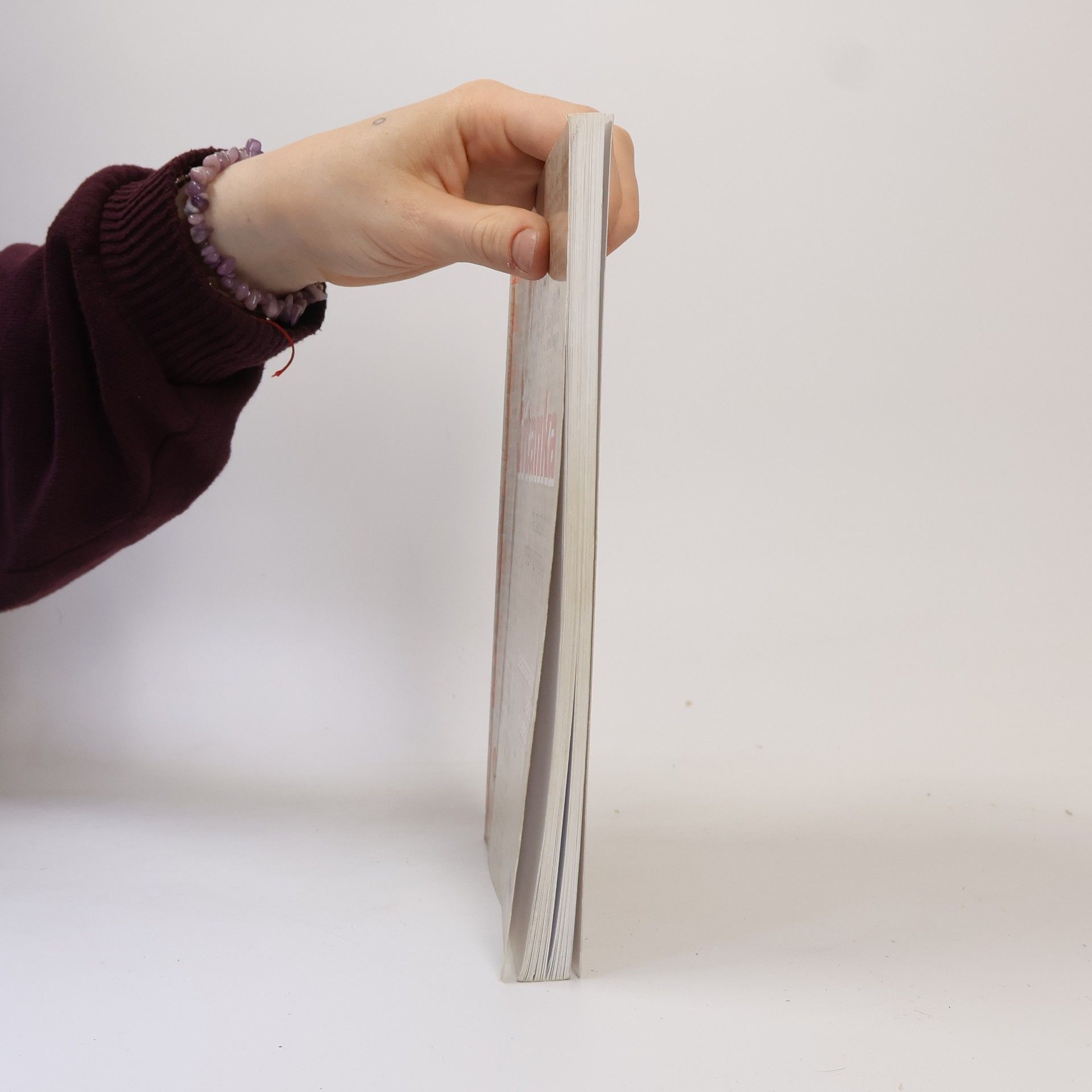 Václav Bok Čítanka německých literárních textů. Deutschsprachige Literatur in Lesetexten