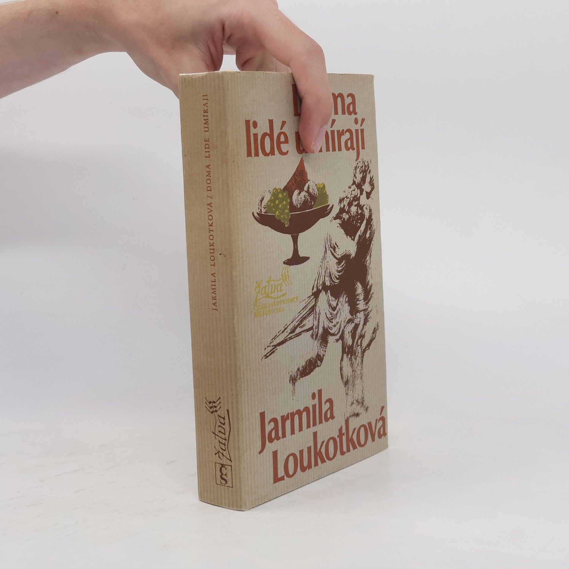 Jarmila Loukotková Doma lidé umírají