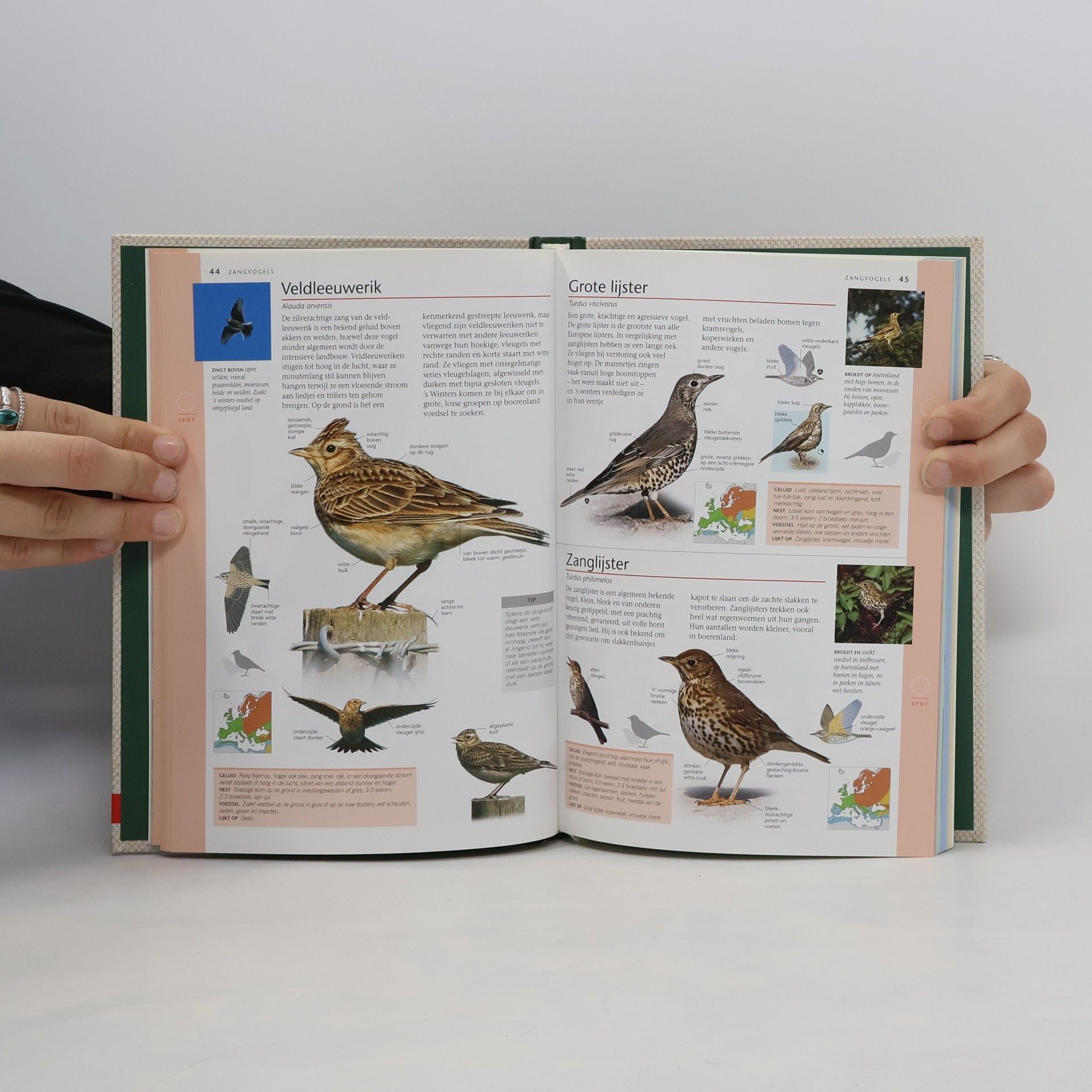 Jonathan Elphick Vogels in Nederland 1